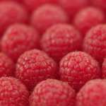 Food Raspberry high definition wallpapers