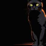 Majestic Black Cat high quality wallpapers