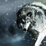 Majestic Wolf wallpapers for iphone