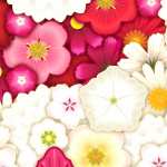 Artistic Flower wallpaper