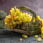 Food Grapes PC wallpapers