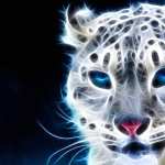 Majestic Snow Leopard wallpapers for desktop