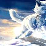 Majestic Wolf PC wallpapers