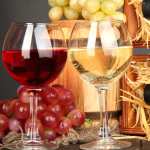 Food Wine hd