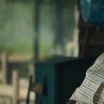 The Color Purple 2023 Movie new wallpapers