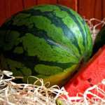 Food Watermelon full hd