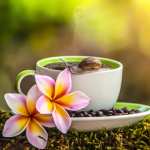 Food Coffee high quality wallpapers