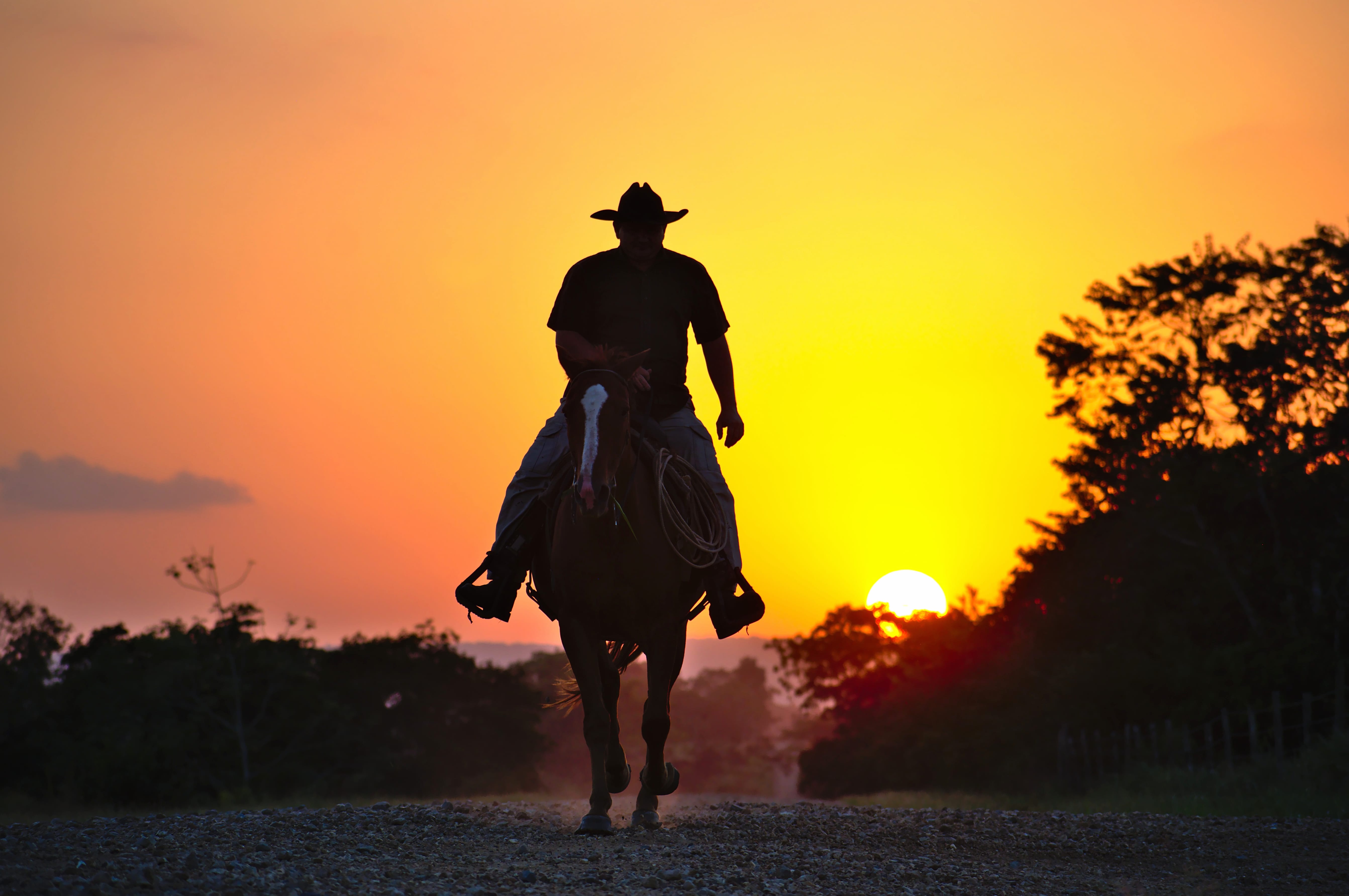 4K Ultra HD Cowboy Sunset Silhouette wallpapers HD quality