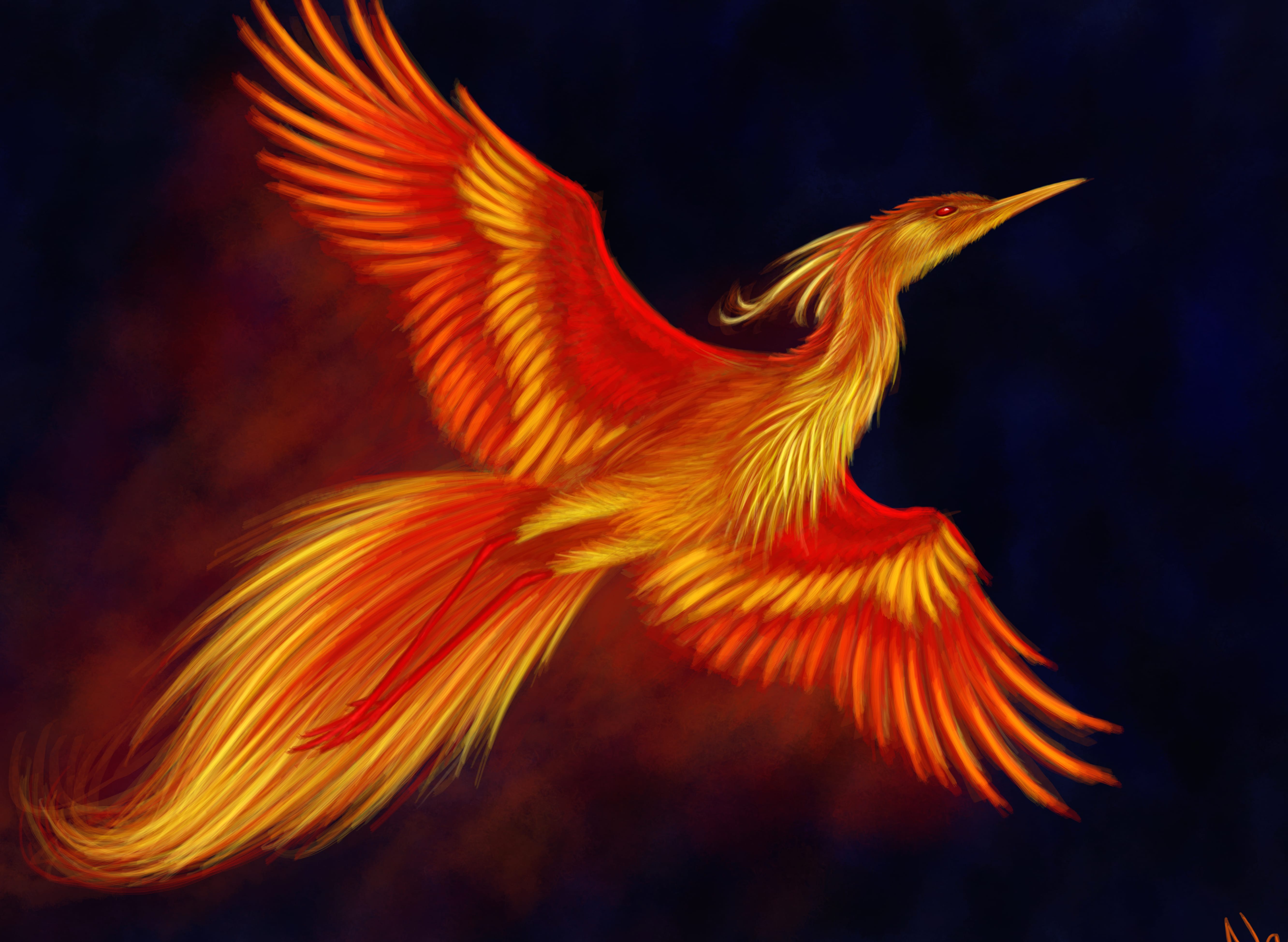 4K Ultra HD Fantasy Phoenix in Flight wallpapers HD quality