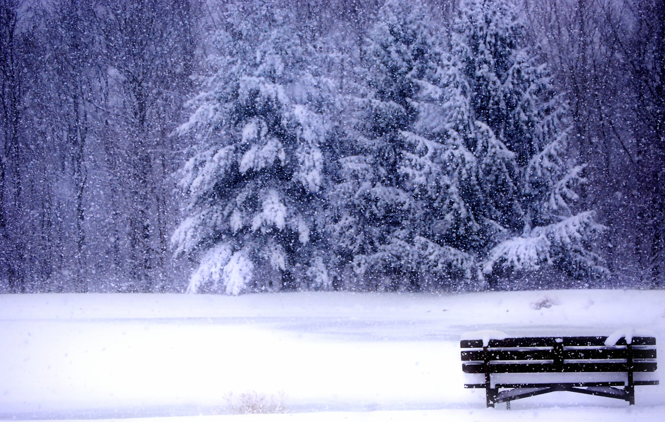 A Tranquil Winter Scene of a Snowy Bench wallpapers HD quality