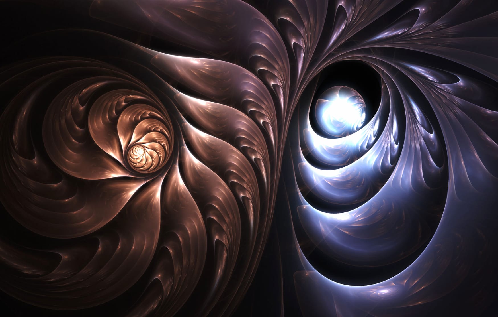 Abstract Shell Spiral - Artistic wallpapers HD quality