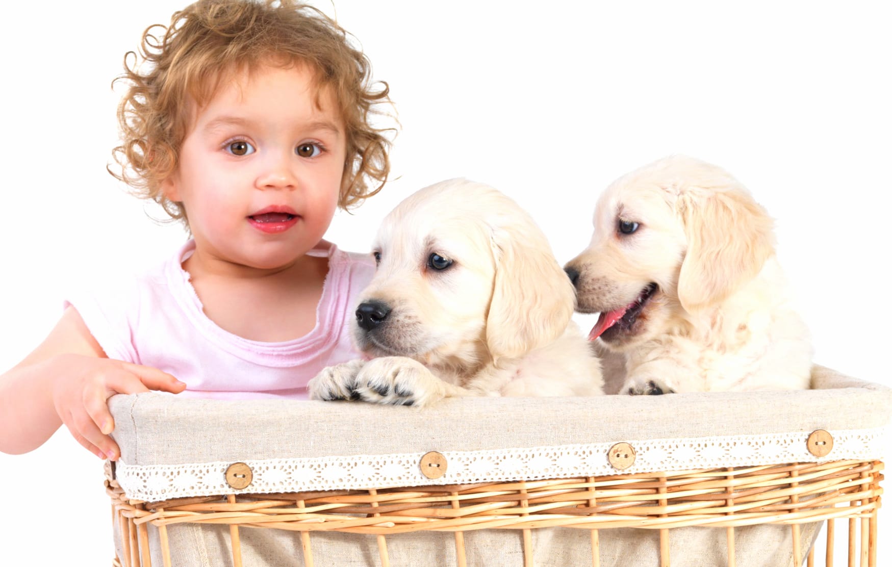 Adorable Moments Child and Puppies at 1600 x 900 HD size wallpapers HD quality