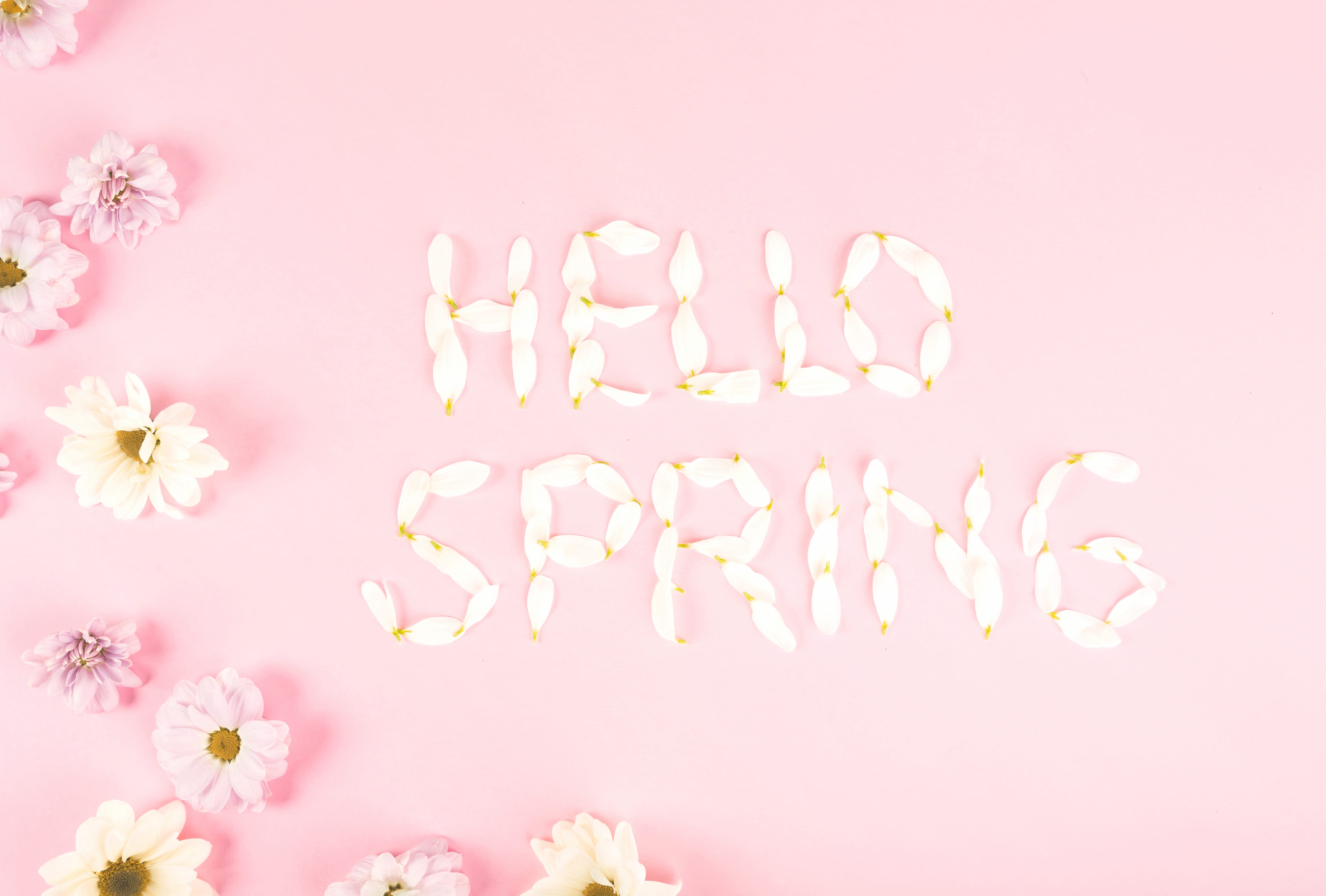 Aesthetic Pink Aesthetic Artistic Spring wallpapers HD quality