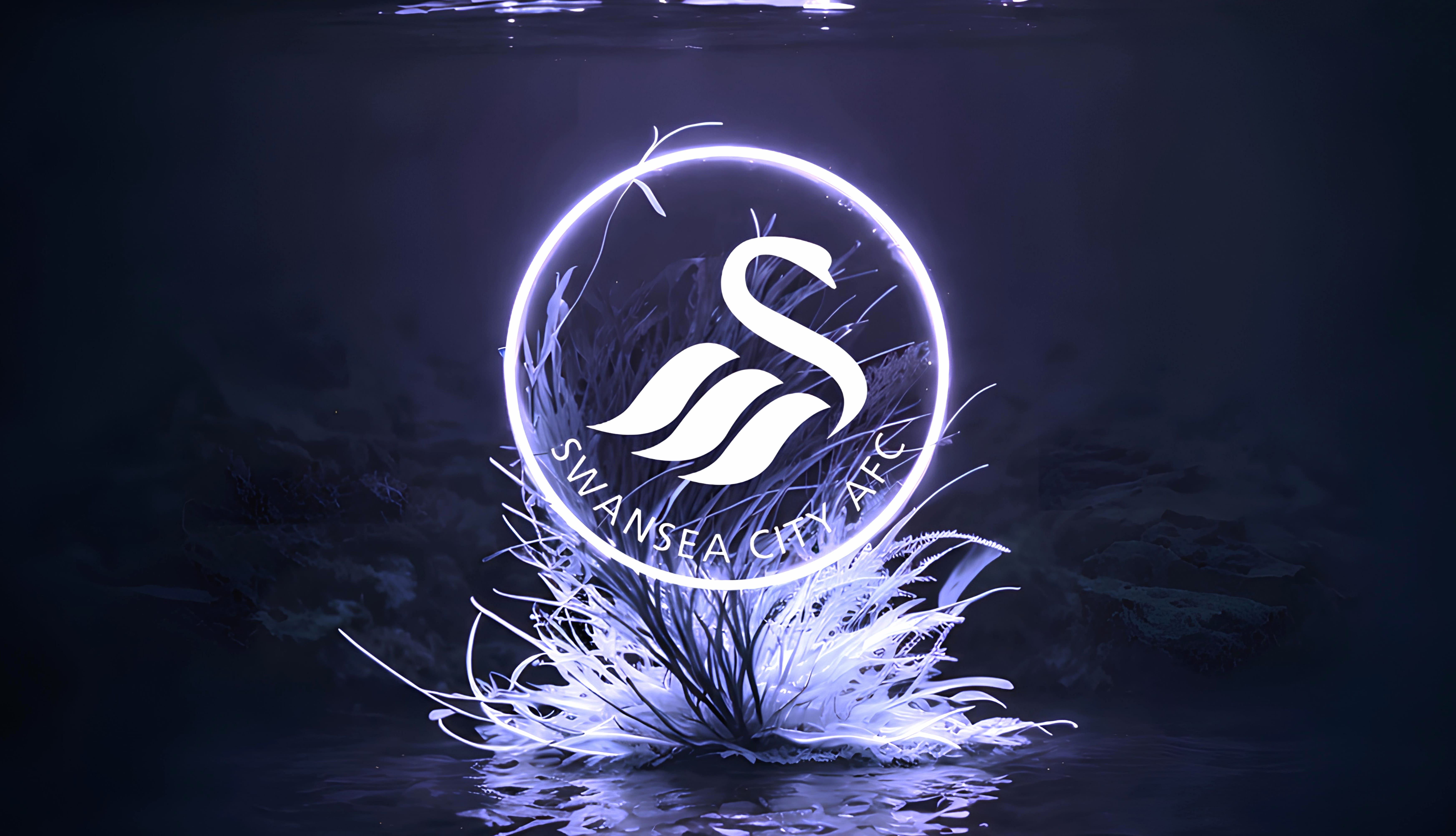 Ancient Swansea City wallpapers HD quality