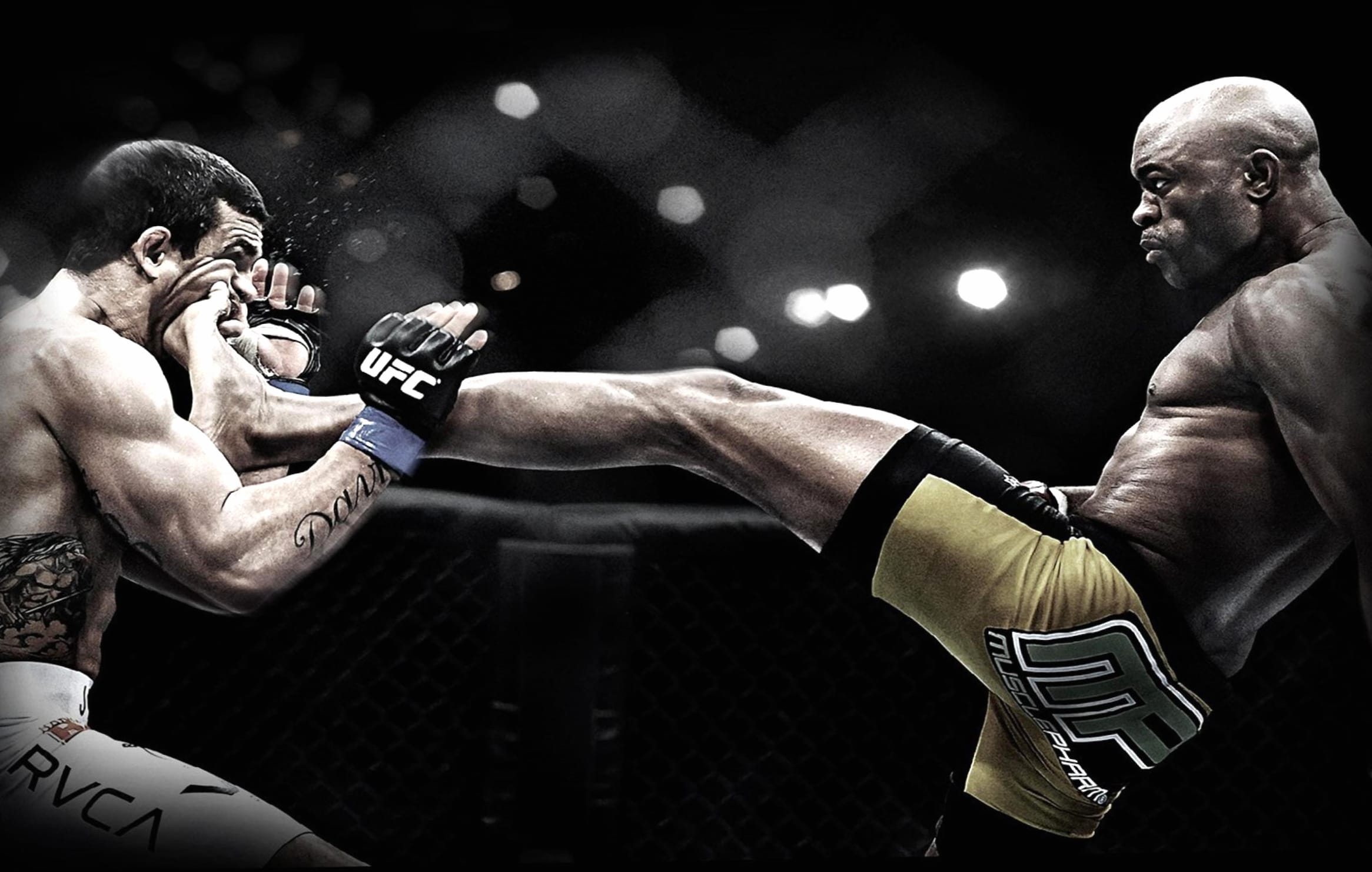 Anderson Silva UFC Action - HD Sports Wallpaper wallpapers HD quality