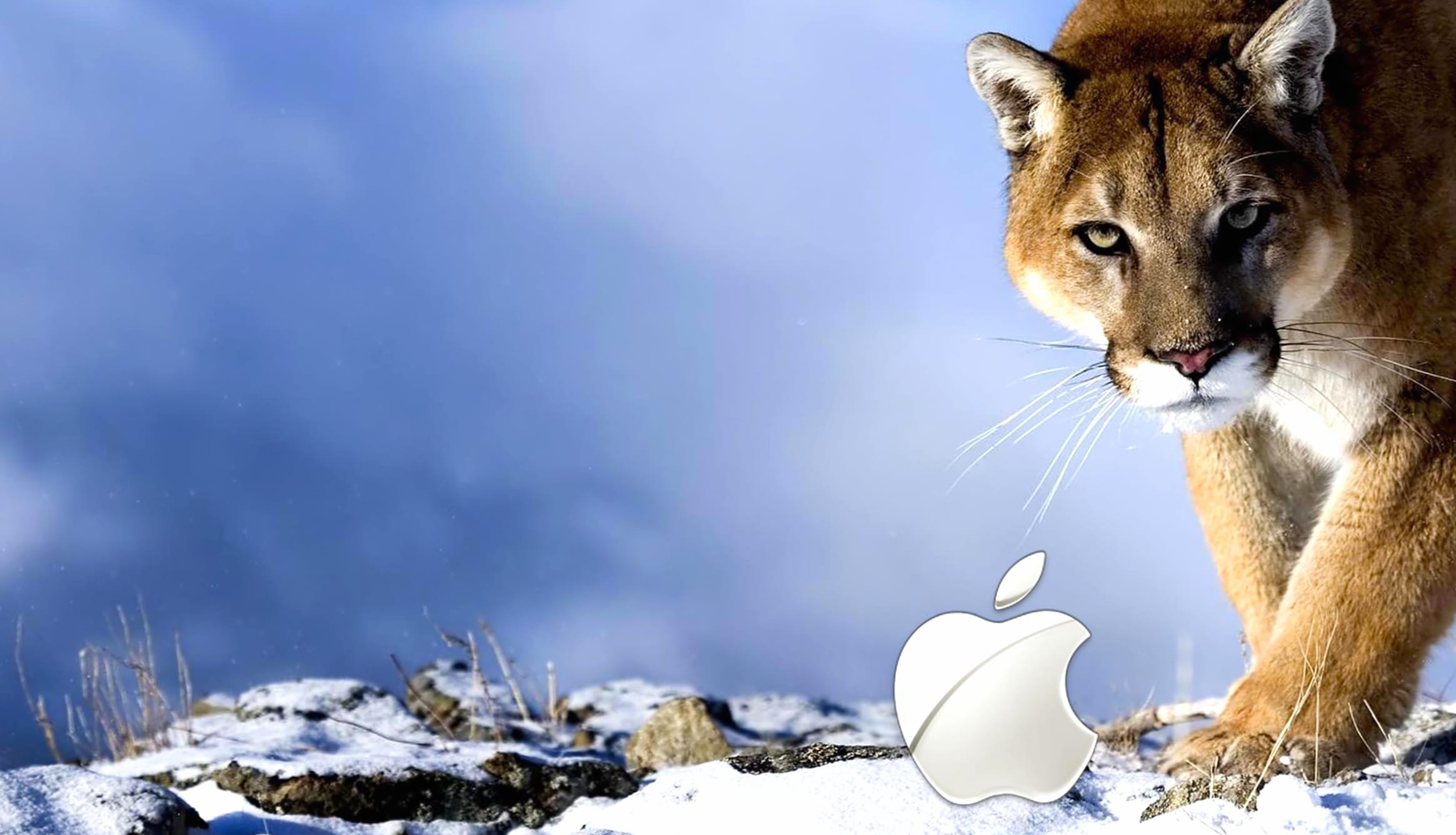 Apple Inc. Technology wallpapers HD quality