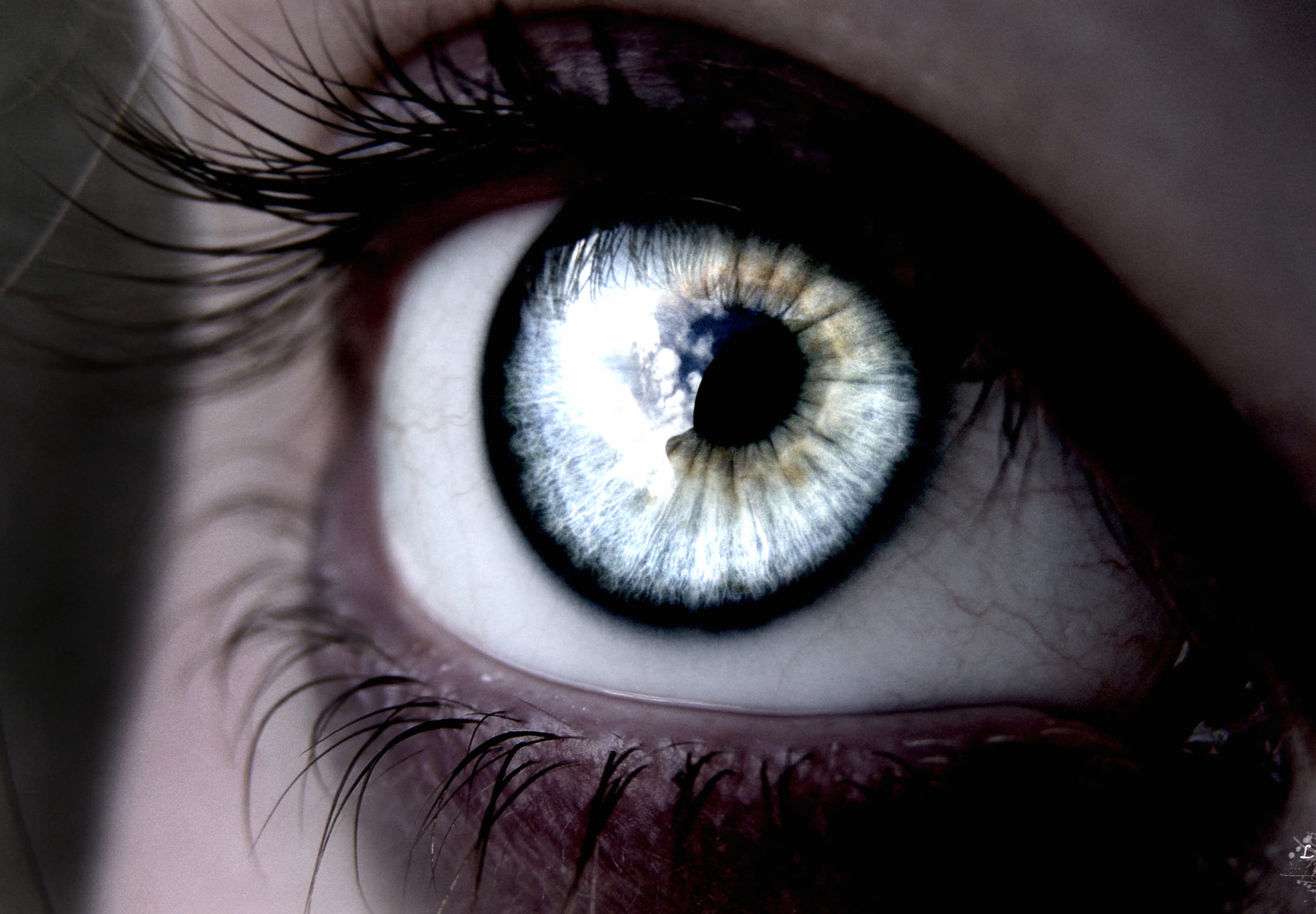 Artistic Eye Reflection at 1536 x 864 HD size wallpapers HD quality