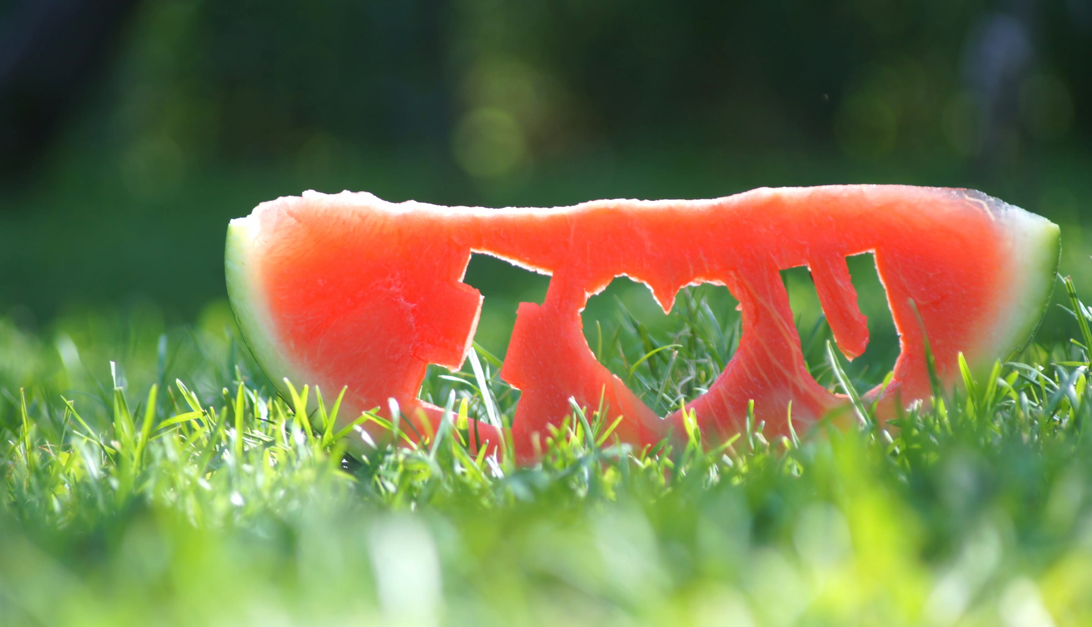 Artistic Love Melon wallpapers HD quality