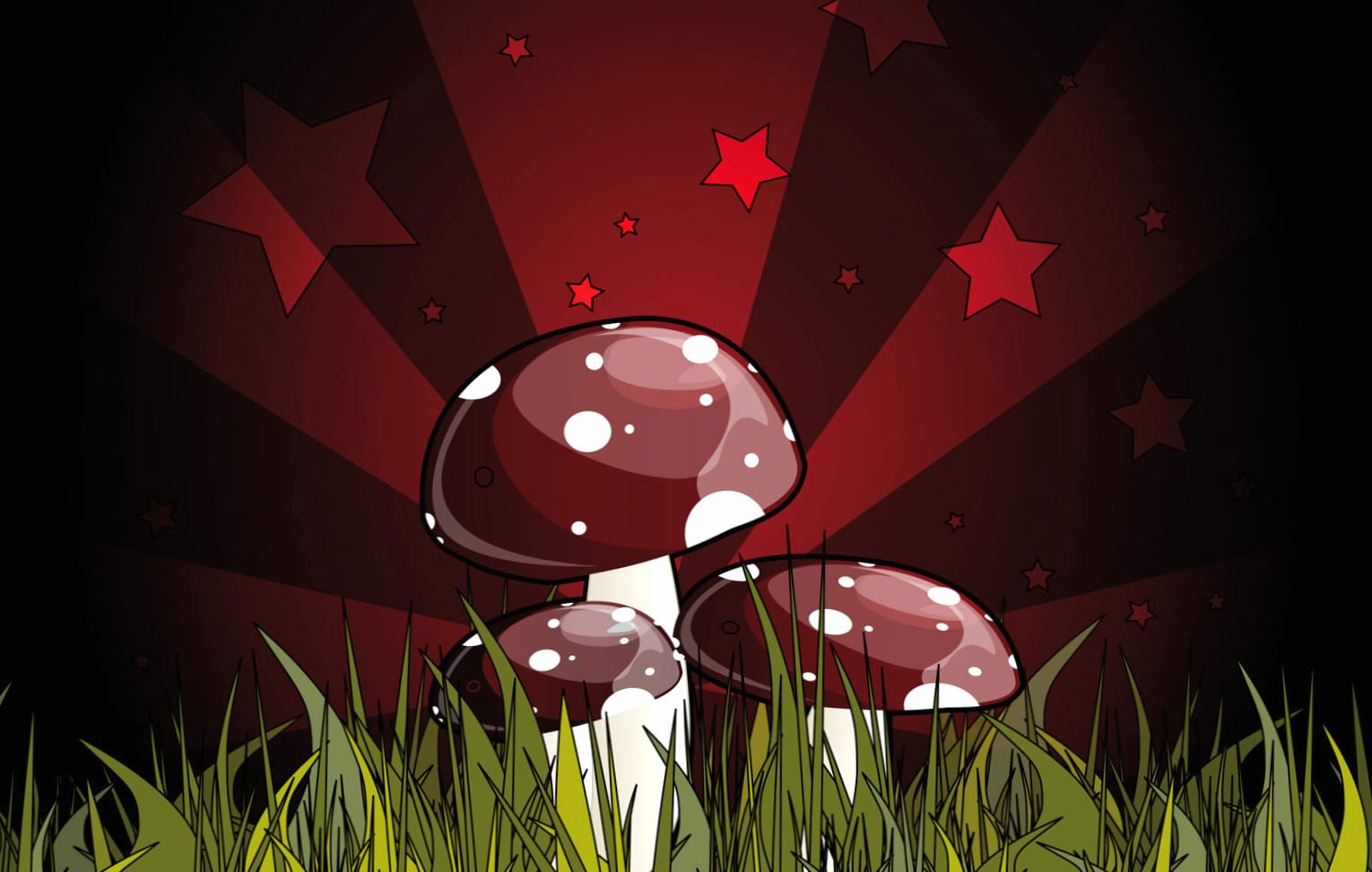 Artistic Mushroom Wonderland - at 640 x 960 iPhone 4 size wallpapers HD quality