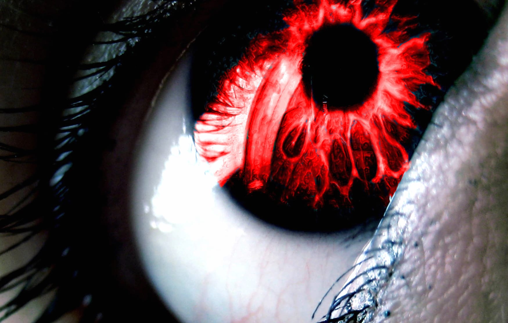 Artistic Red Eye at 1920 x 1080 HD size wallpapers HD quality