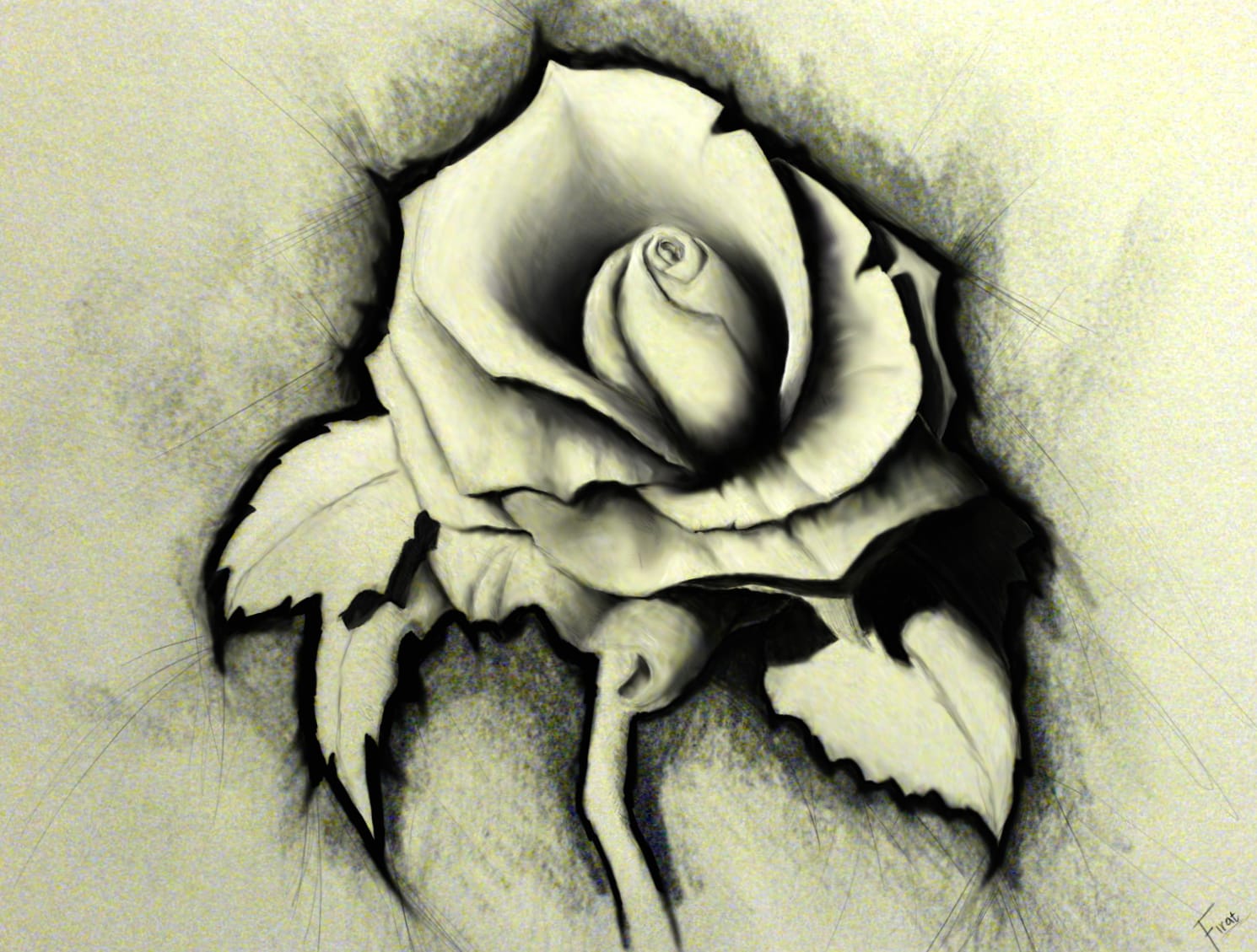 Artistic Rose Drawing - wallpapers HD quality