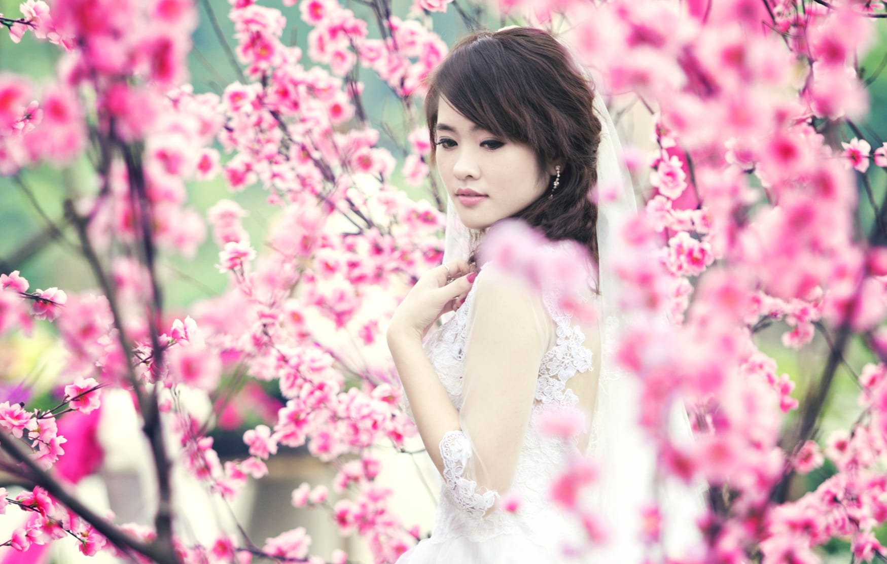 Asian Beauty Among Blossoms at 2560 x 1440 HD size wallpapers HD quality