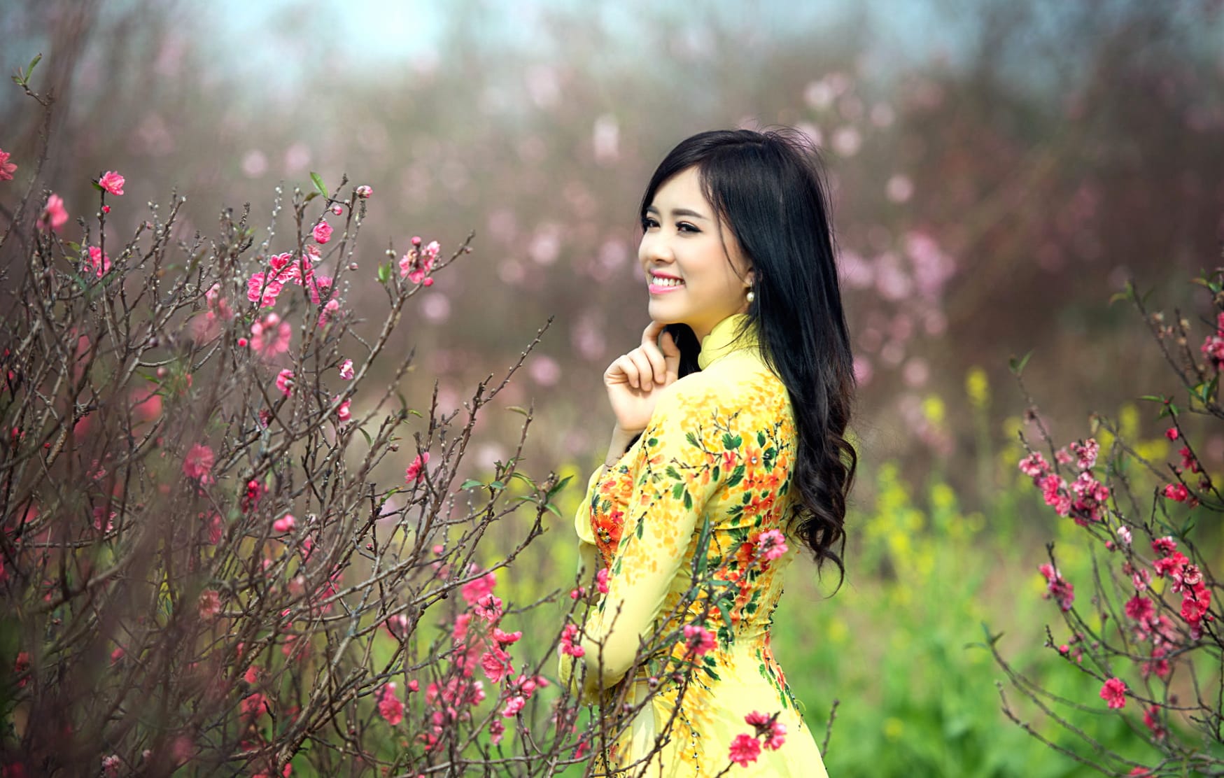 Asian Beauty in Blossoms - wallpapers HD quality