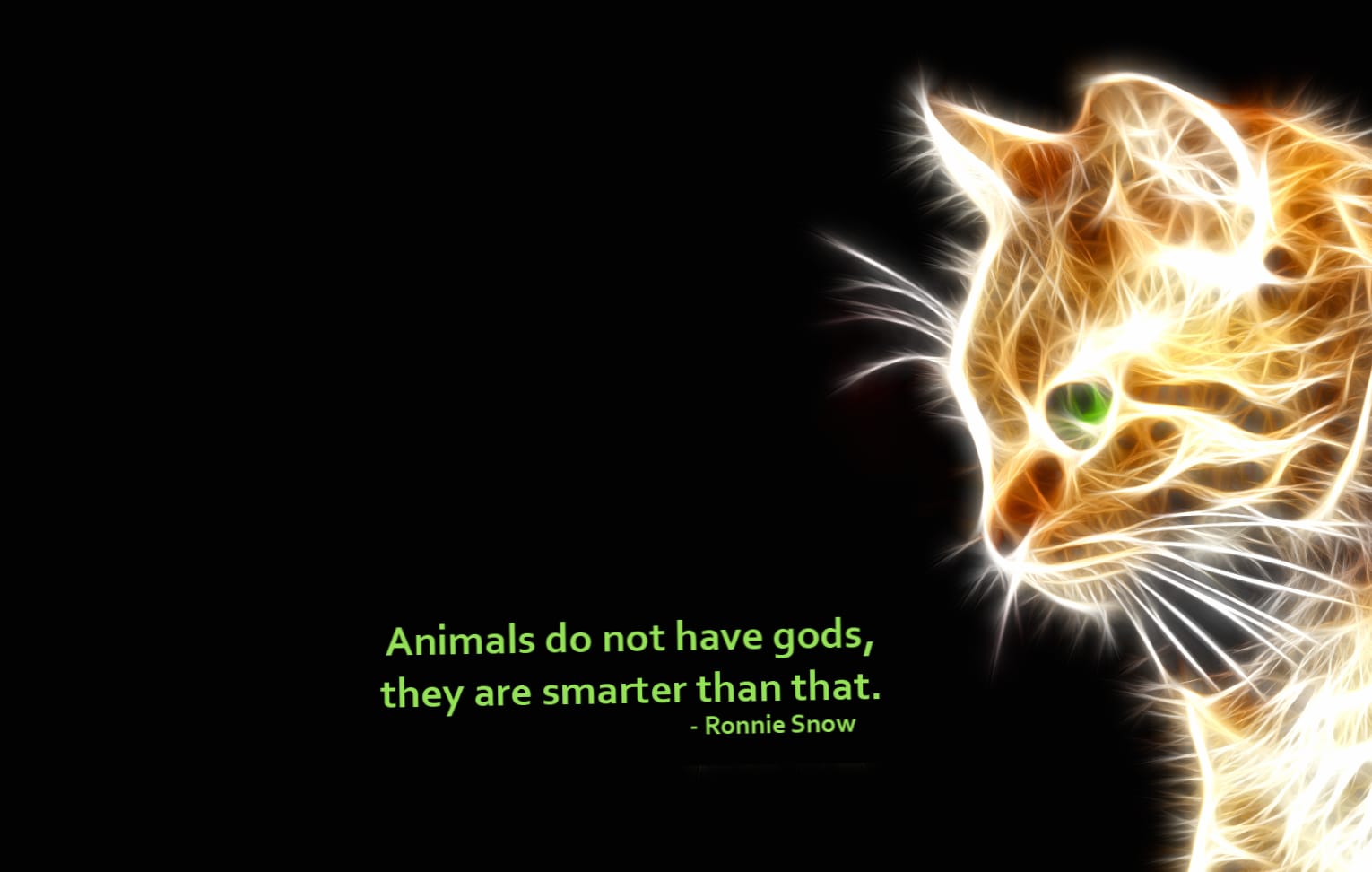 Atheism and the Wisdom of Animals at 1600 x 900 HD size wallpapers HD quality