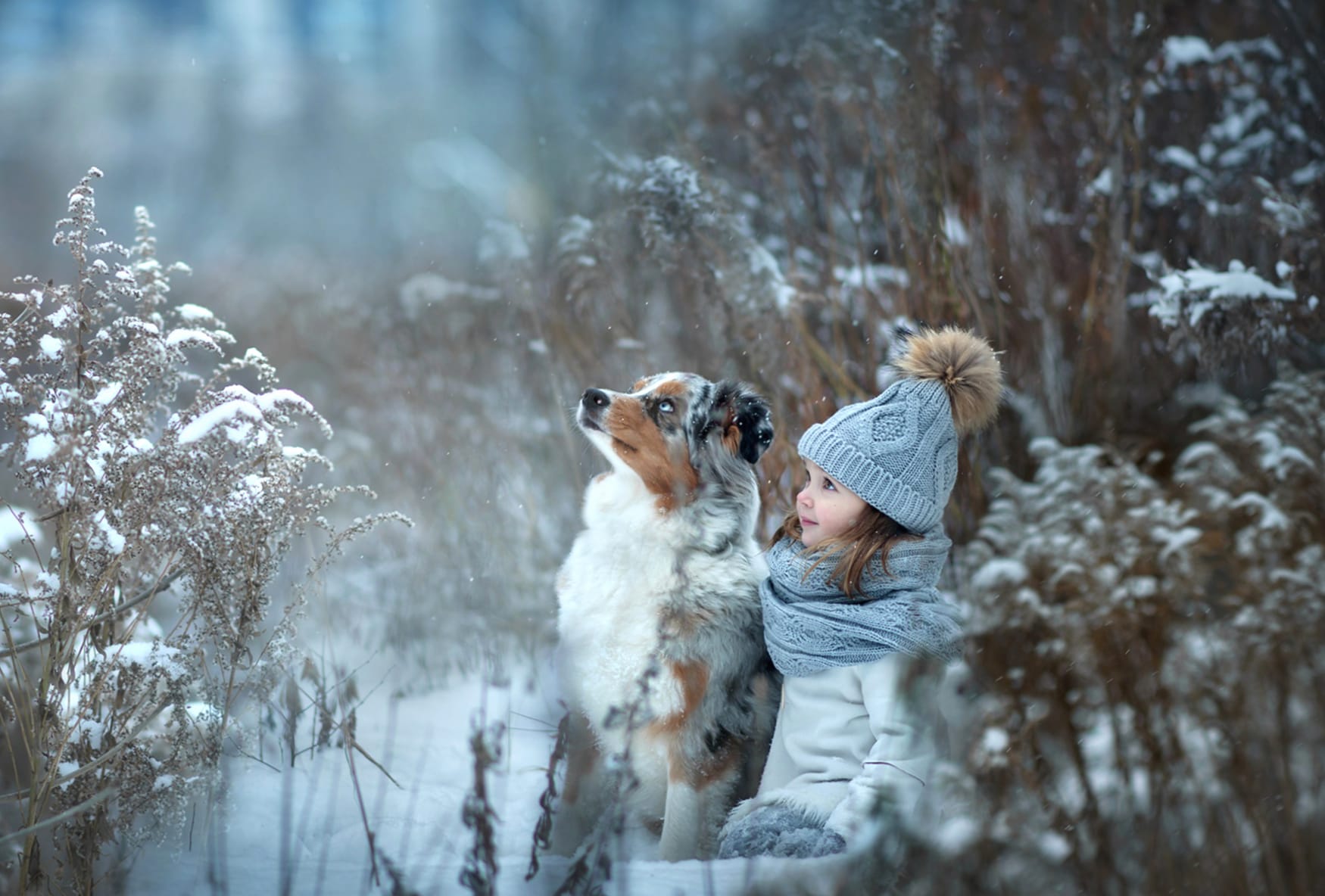 Australian Shepherd Dog Hat Little Girl Winter Photography Child wallpapers HD quality