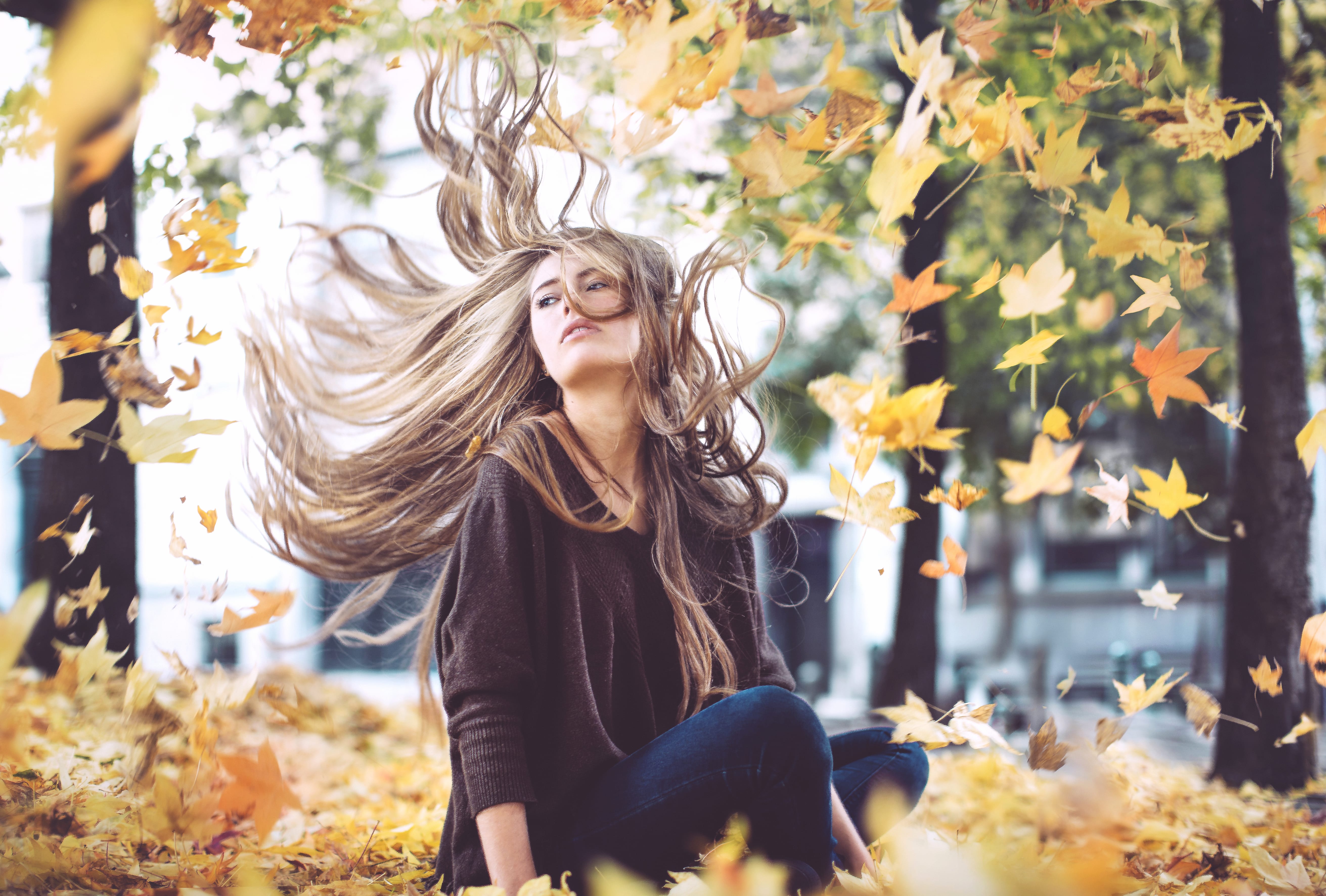 Autumn Bliss in HD at 1024 x 1024 iPad size wallpapers HD quality