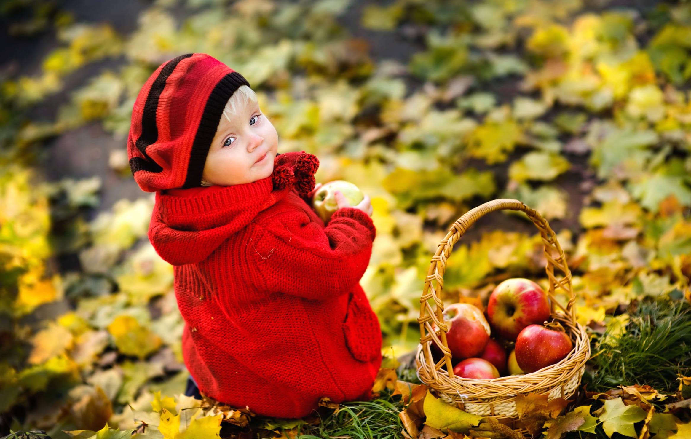 Autumn Child wallpapers HD quality