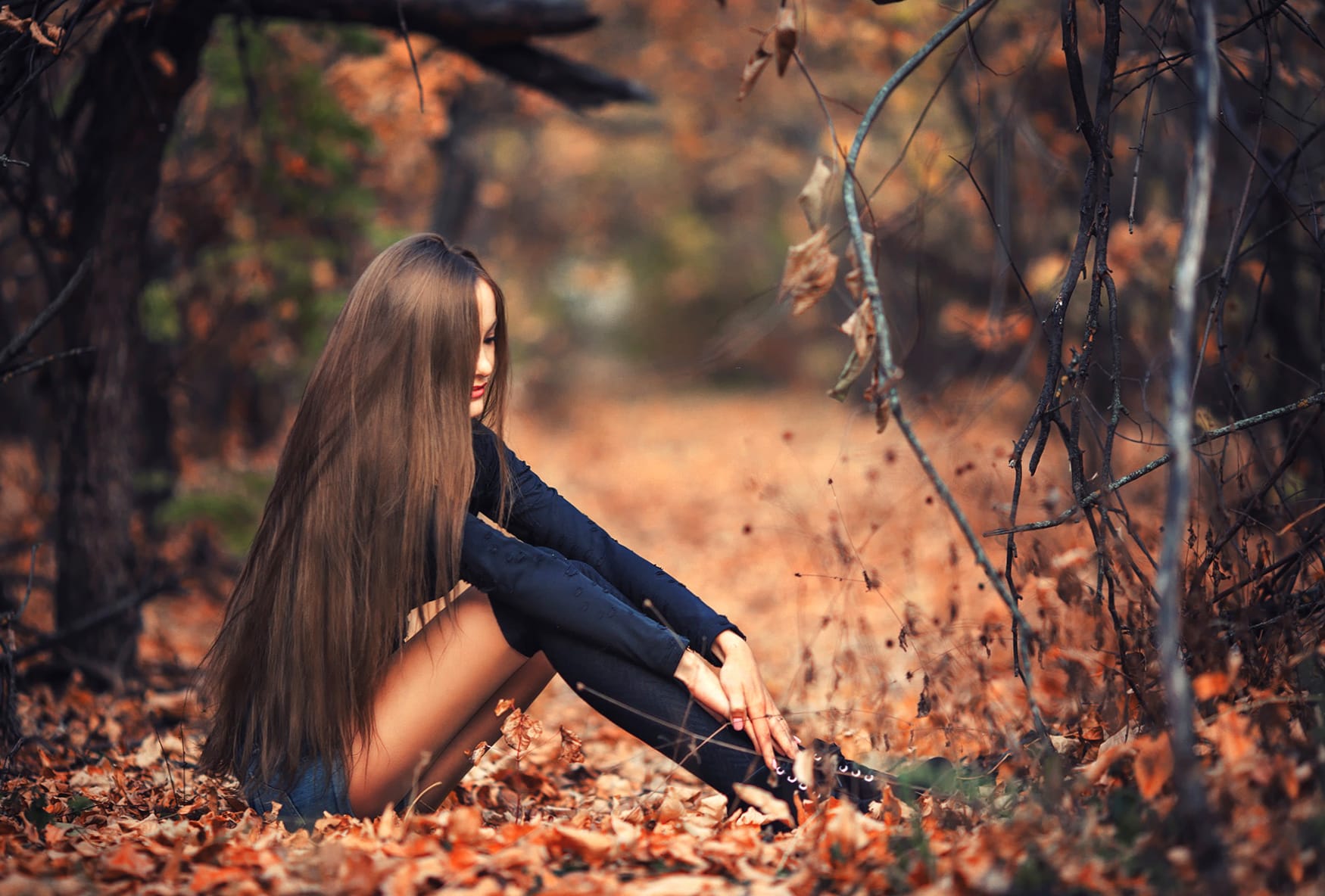 Autumn Contemplation wallpapers HD quality