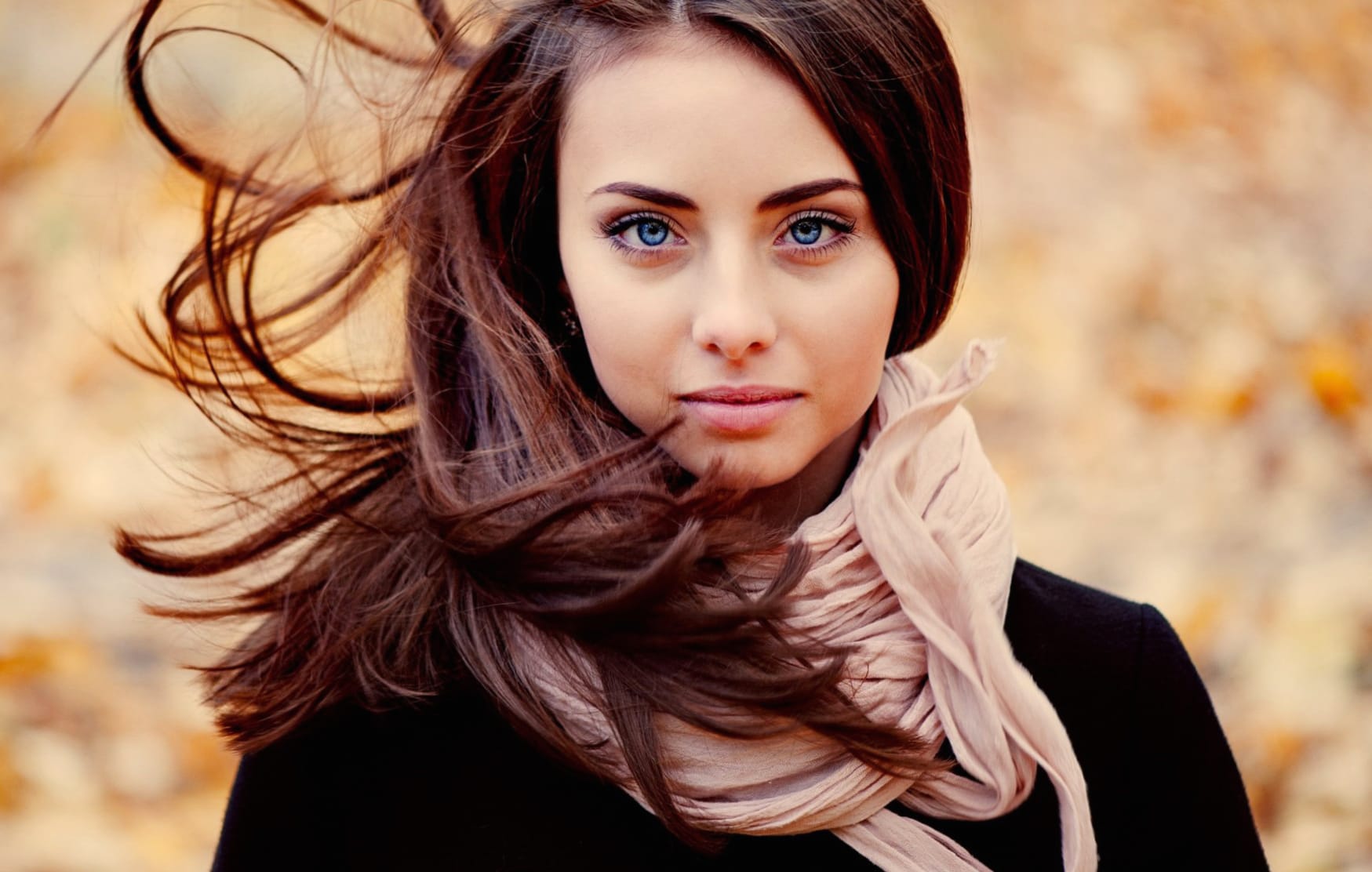 Autumn Elegance - wallpapers HD Autumn Elegance - wallpapers HD quality