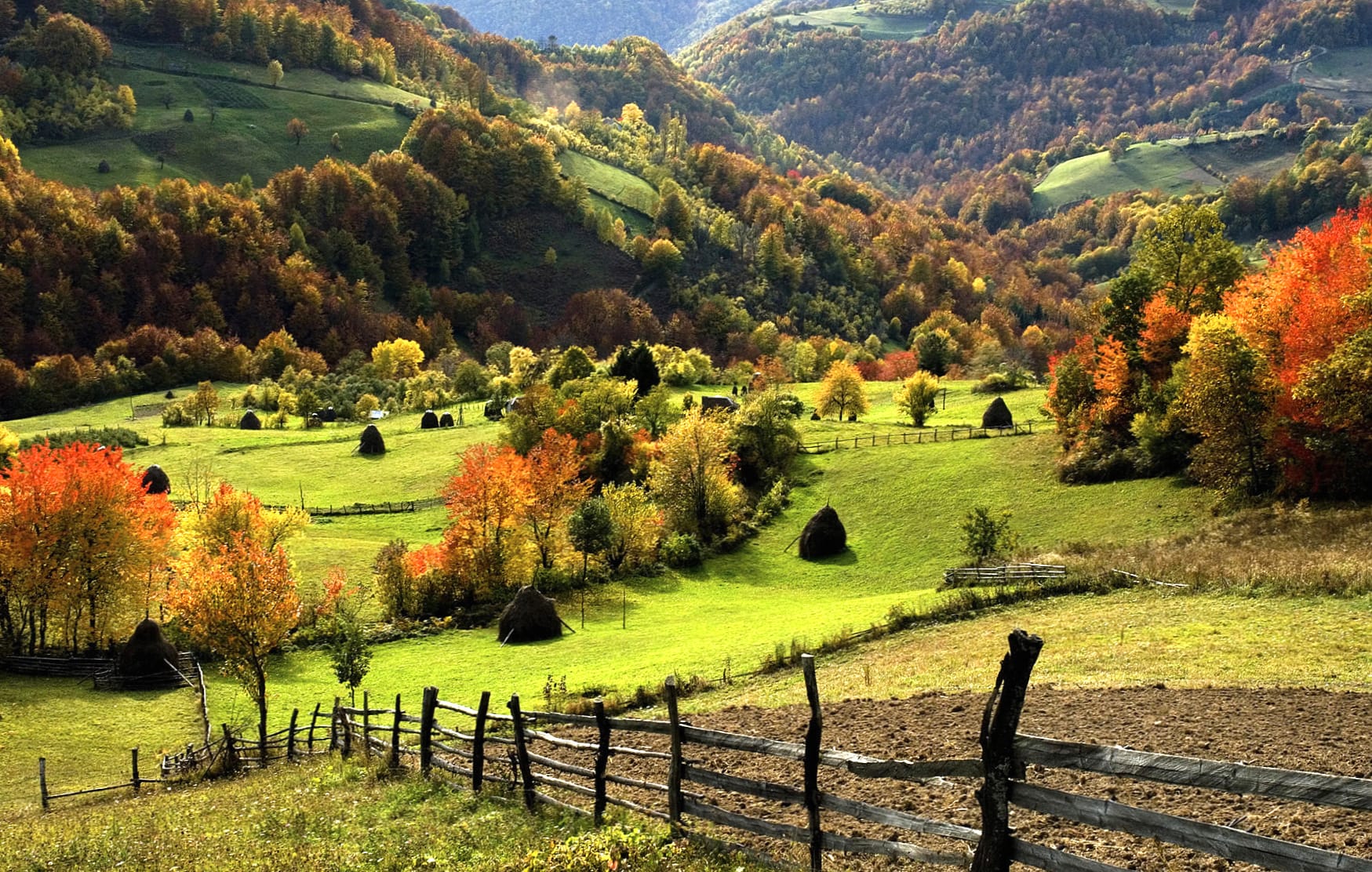 Autumn Field Landscape wallpapers HD quality