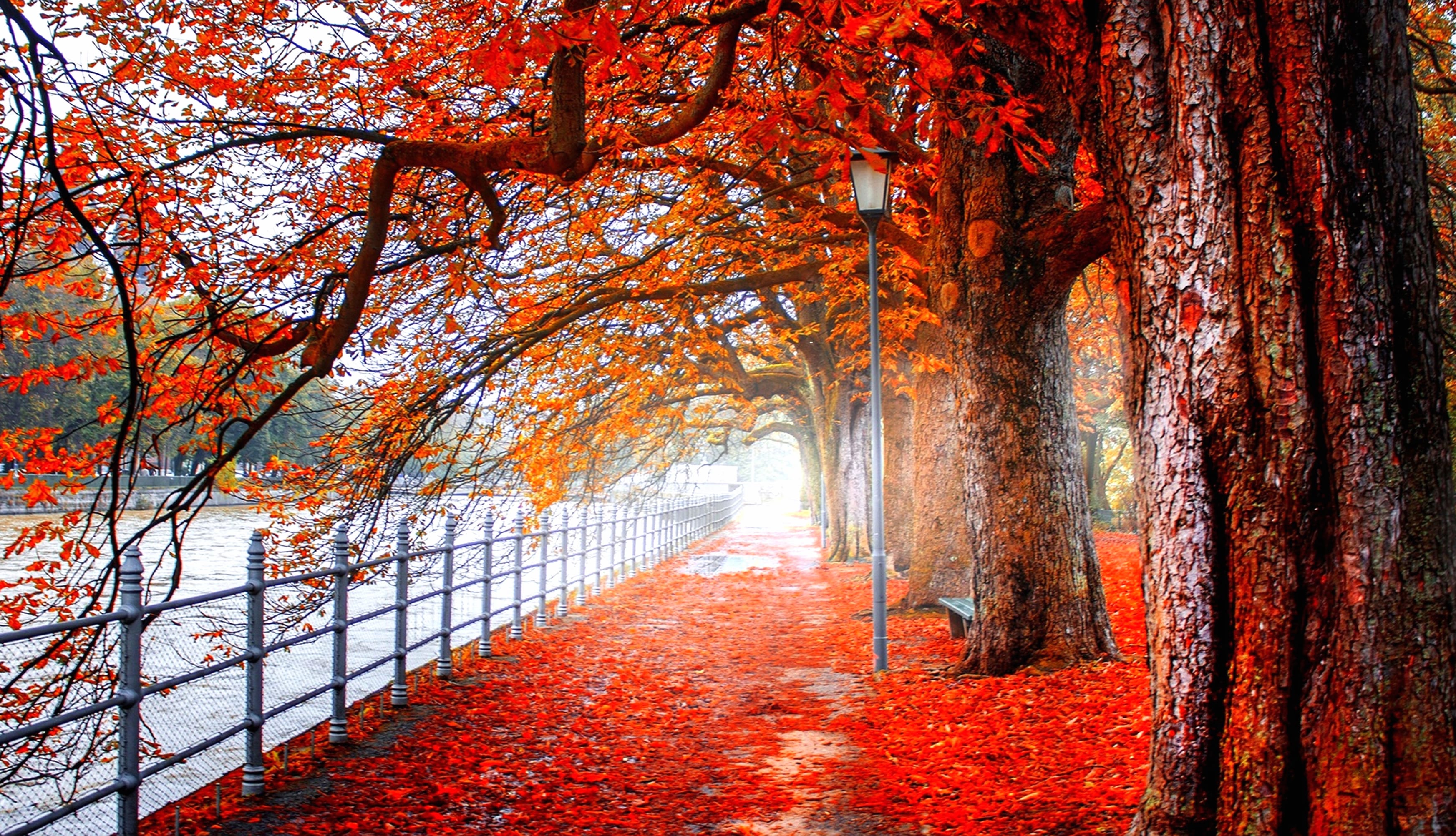 Autumn Park Pathway wallpapers HD quality