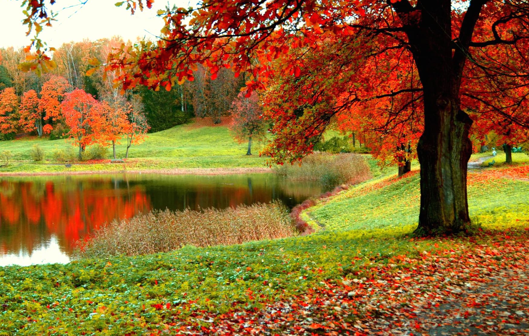 Autumn Park Pond at 2560 x 1440 HD size wallpapers HD quality