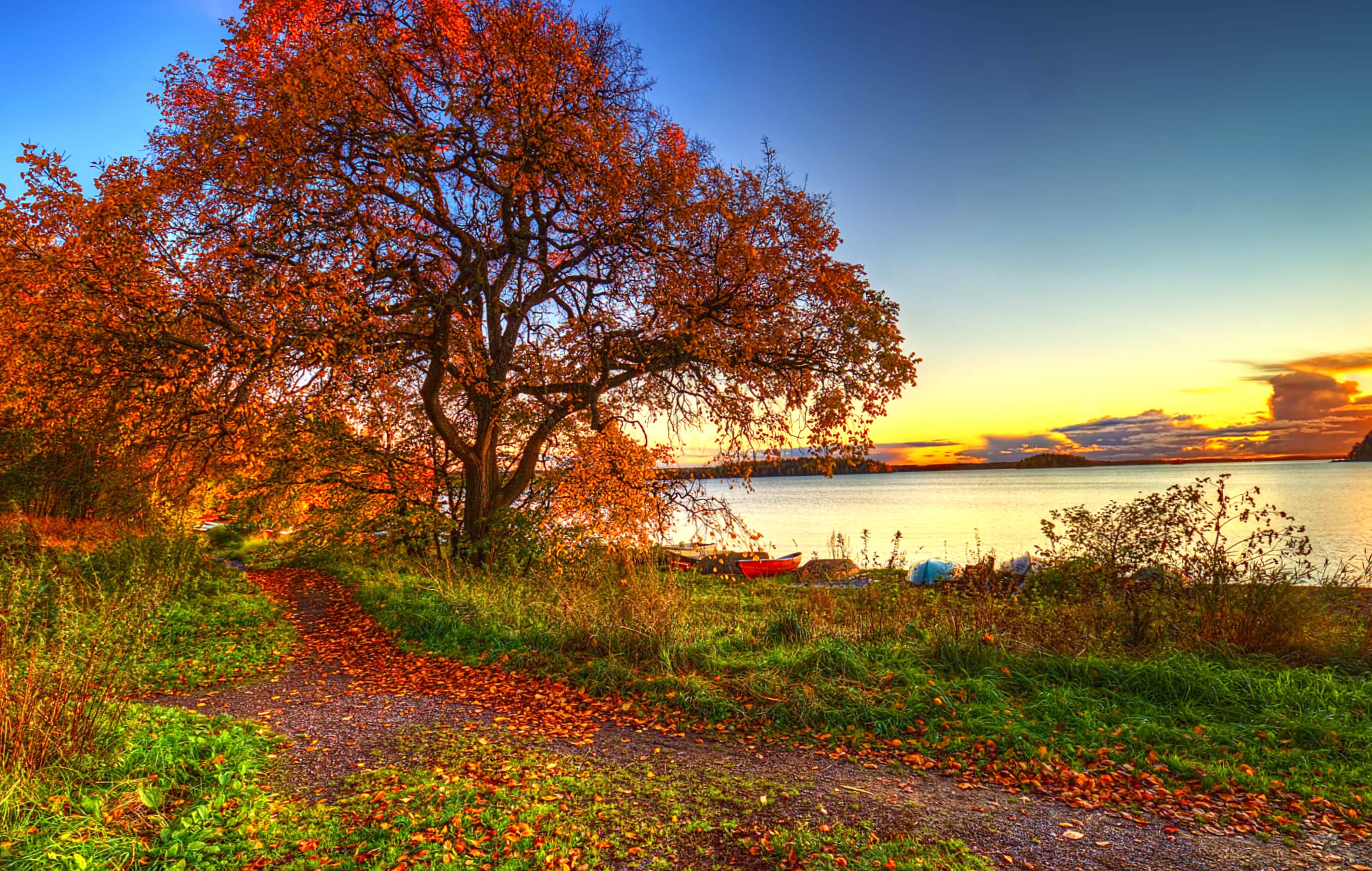 Autumn Serenity in Vibrant HDR Photography wallpapers HD quality