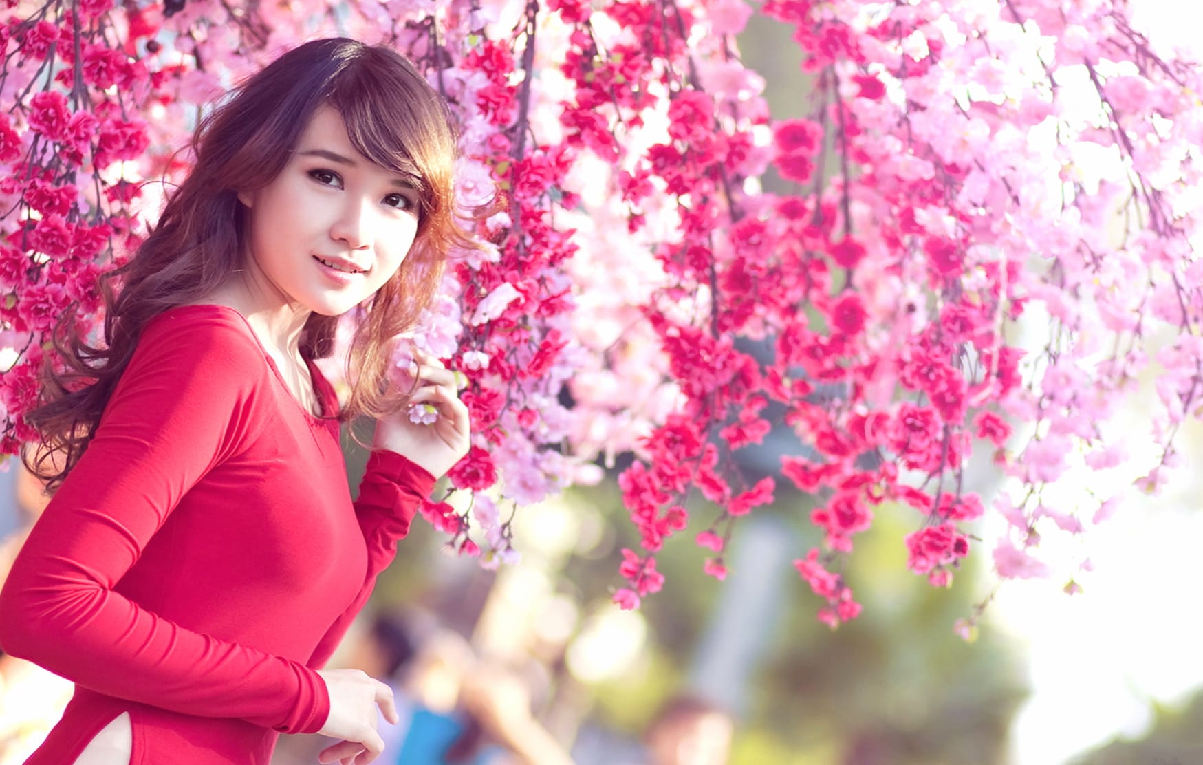 Beautiful Woman in Blossom - wallpapers HD quality