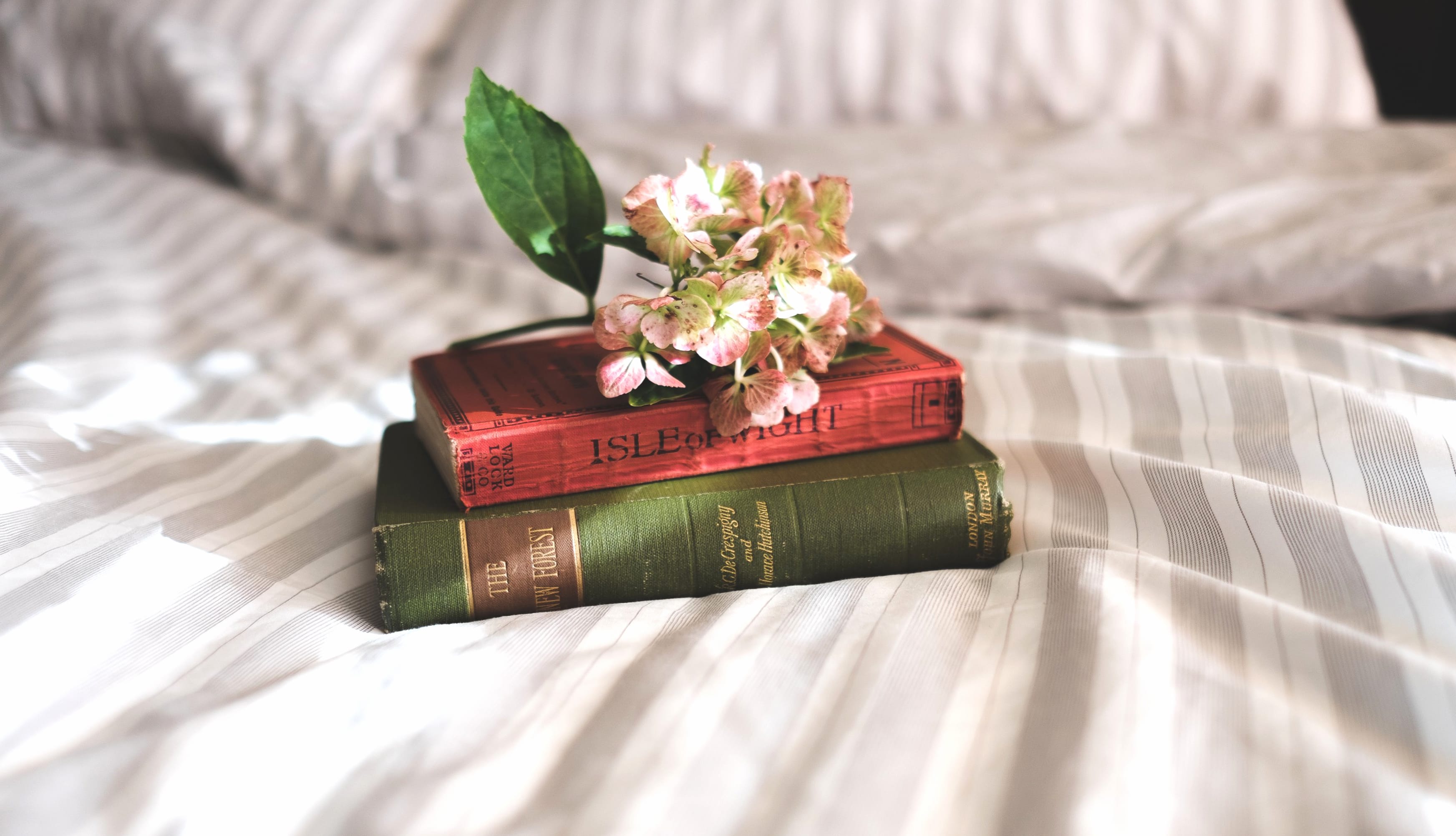 Bed Flower Book Photography Still Life wallpapers HD quality