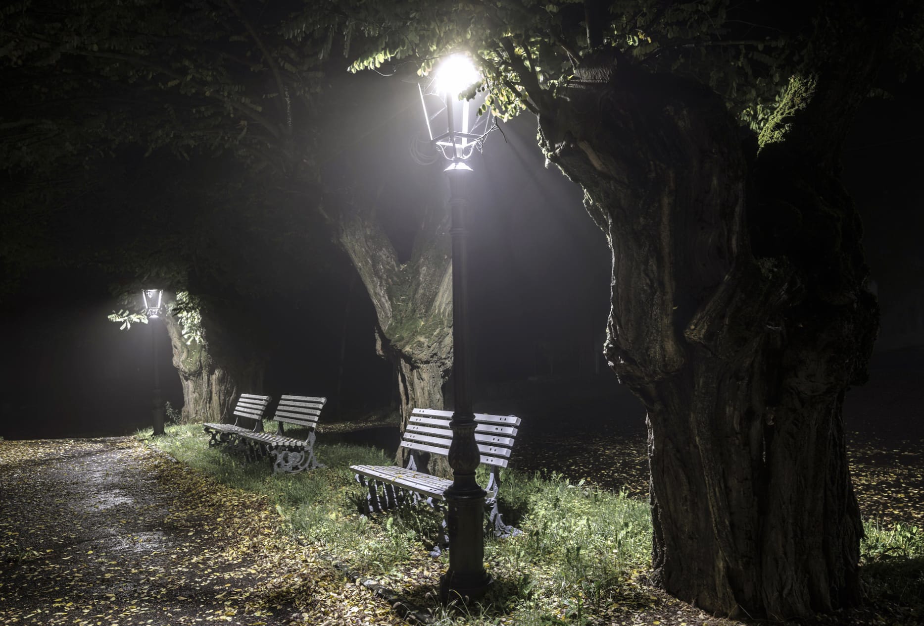 Bench Lamp Post Night Photography Park at 640 x 960 iPhone 4 size wallpapers HD quality