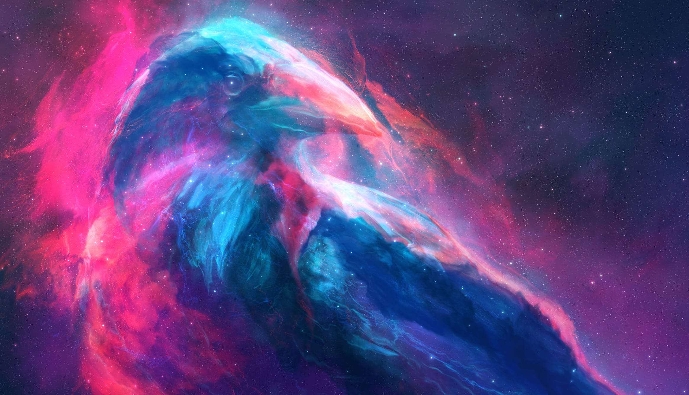 Bird Colors Space Animal Artistic wallpapers HD quality