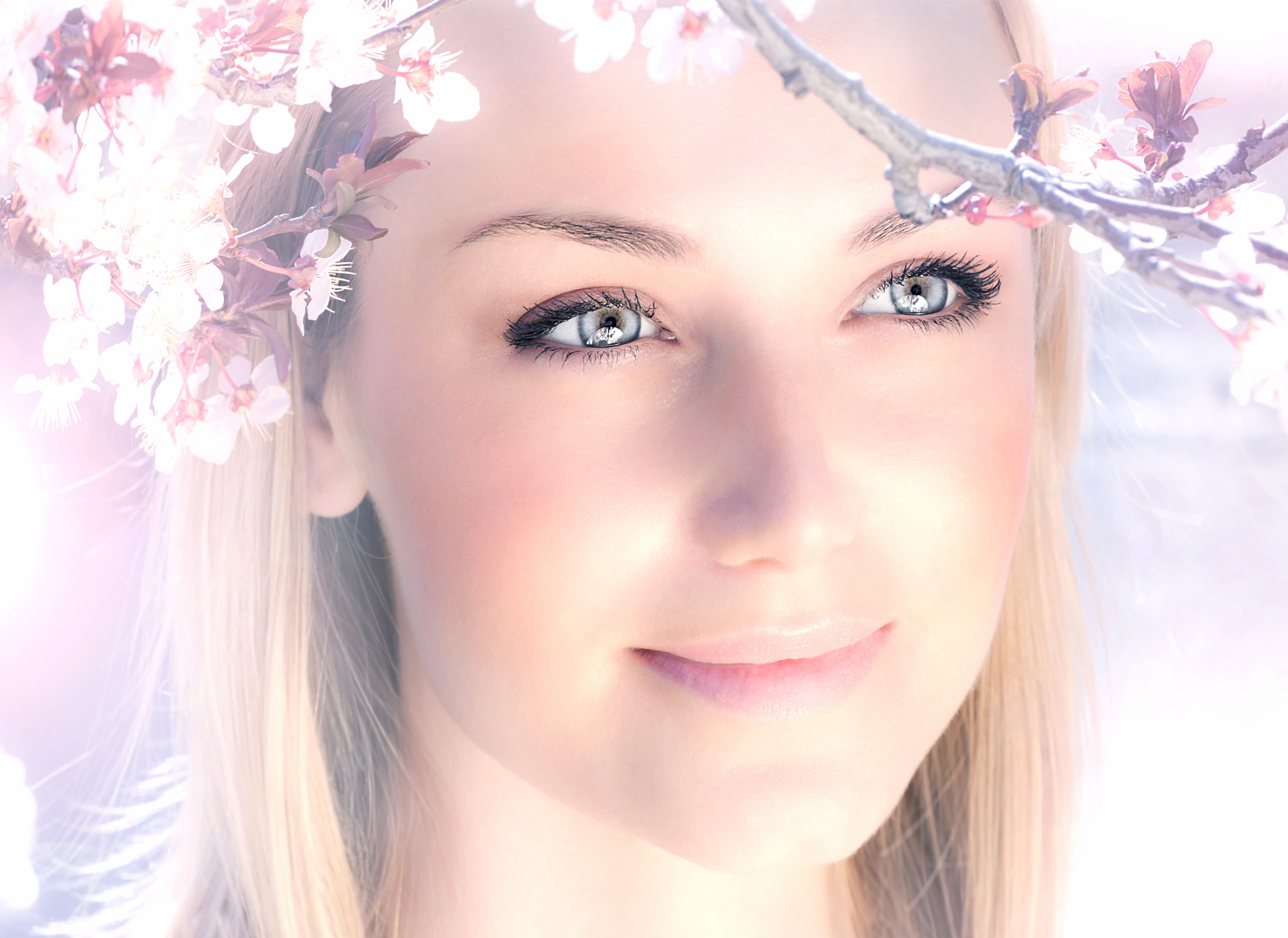 Blossom Beauty - wallpapers HD quality