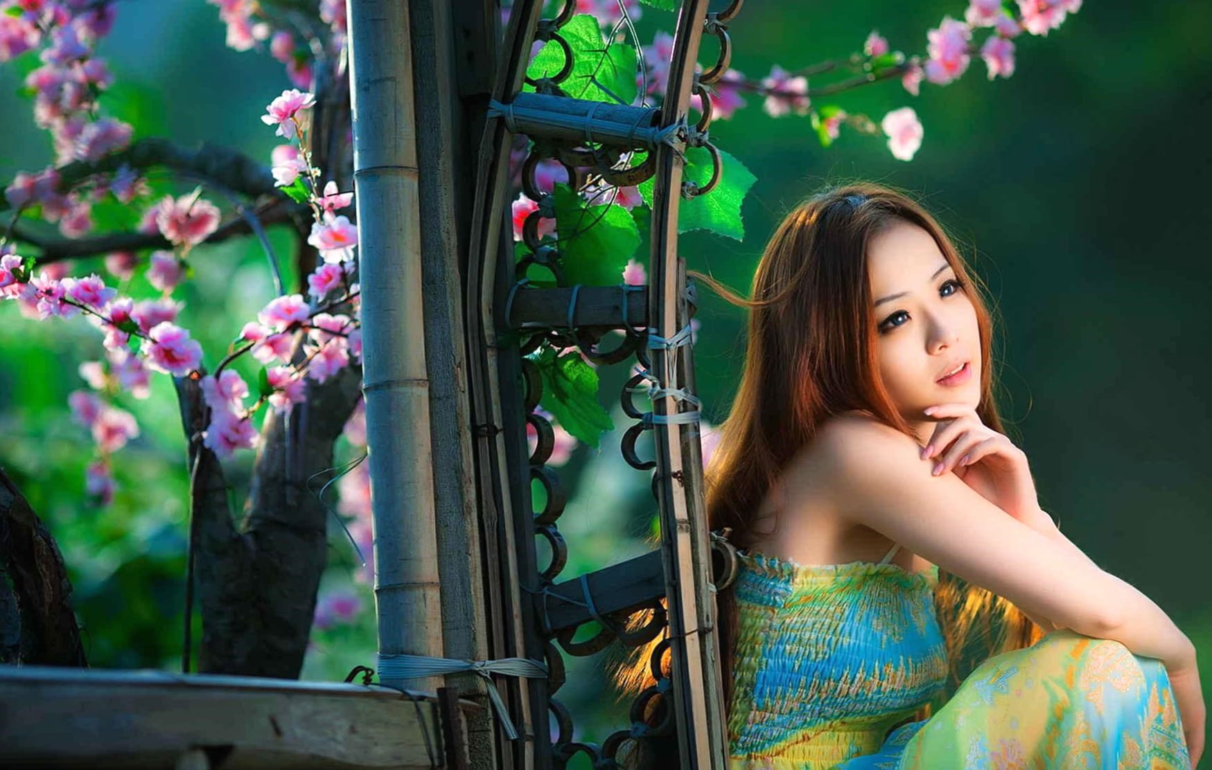 Blossom Reverie Asian Woman at 750 x 1334 iPhone 6 size wallpapers HD quality