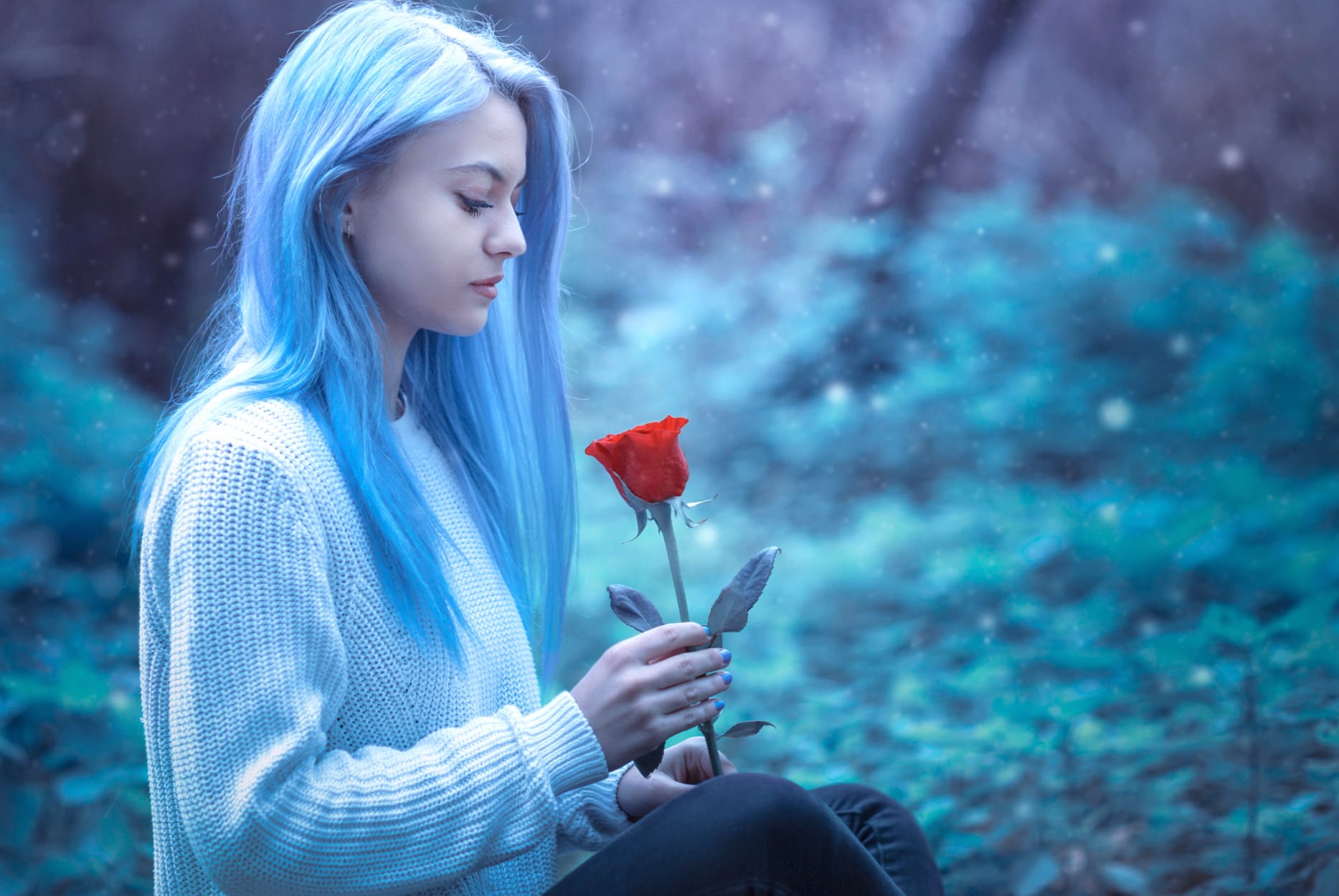 Blue-Haired Serenity with Red Rose - wallpapers HD quality