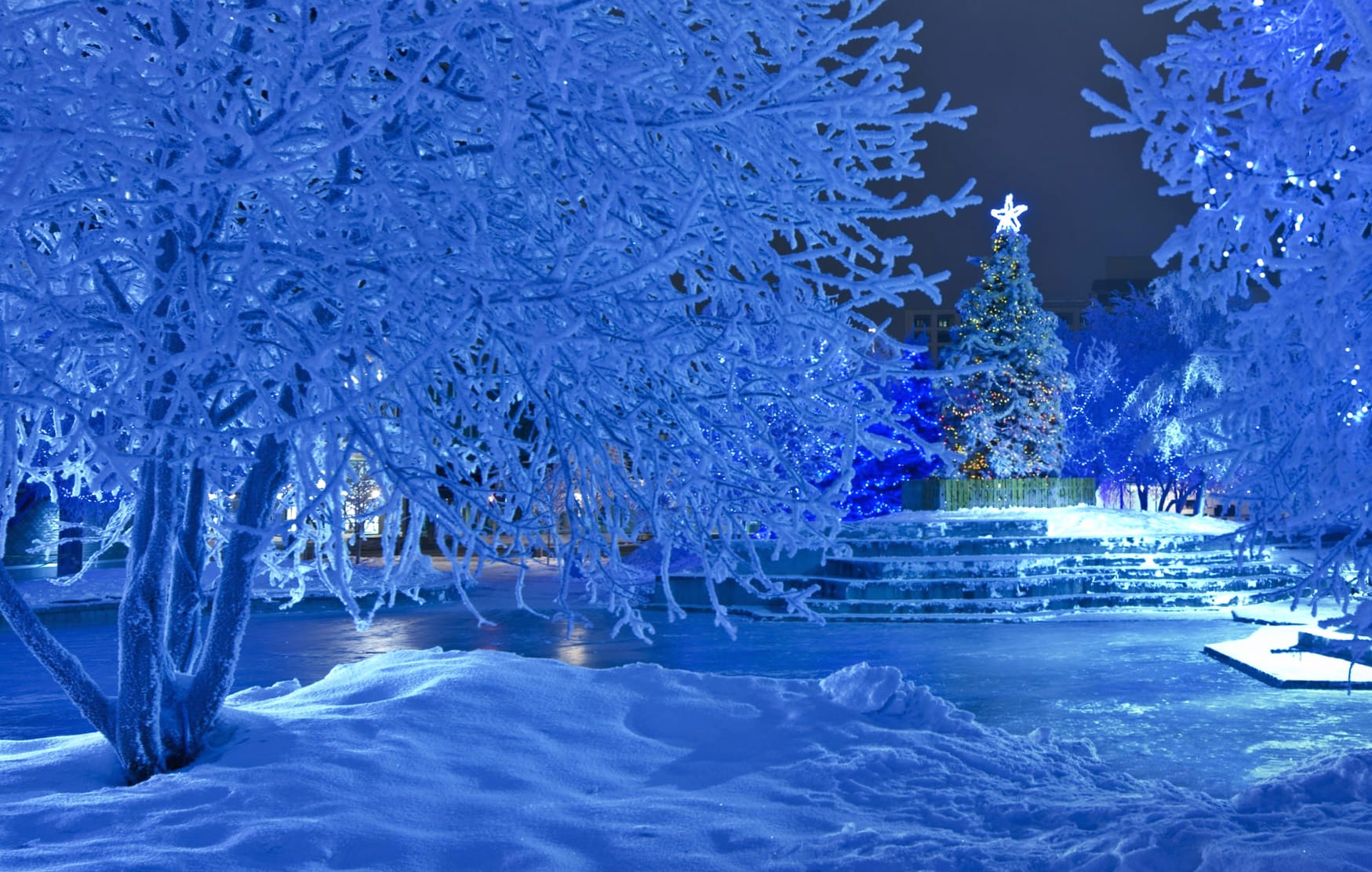 Blue Christmas Park wallpapers HD quality