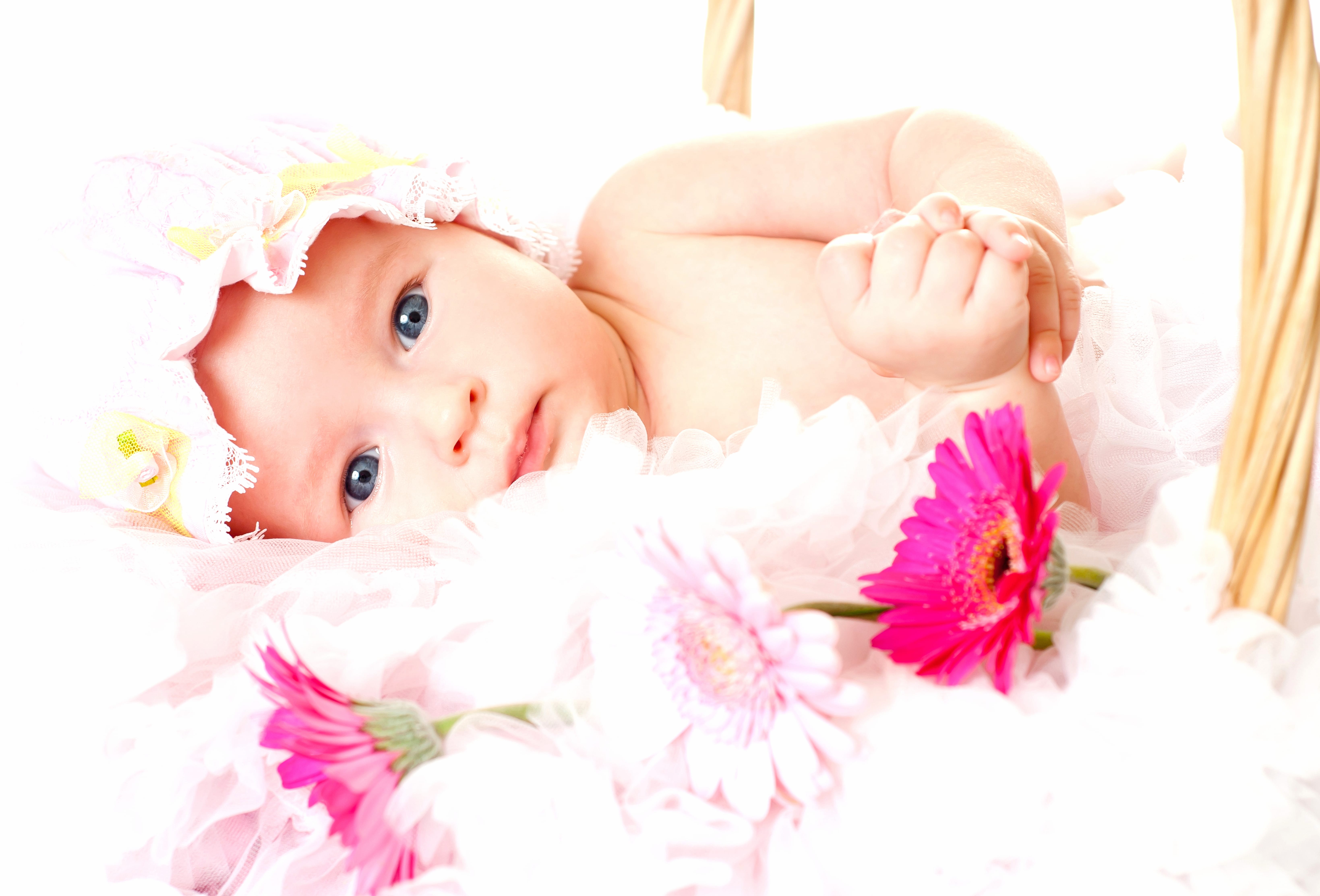 Blue Eyes Pink Flower Cute Photography Baby wallpapers HD quality