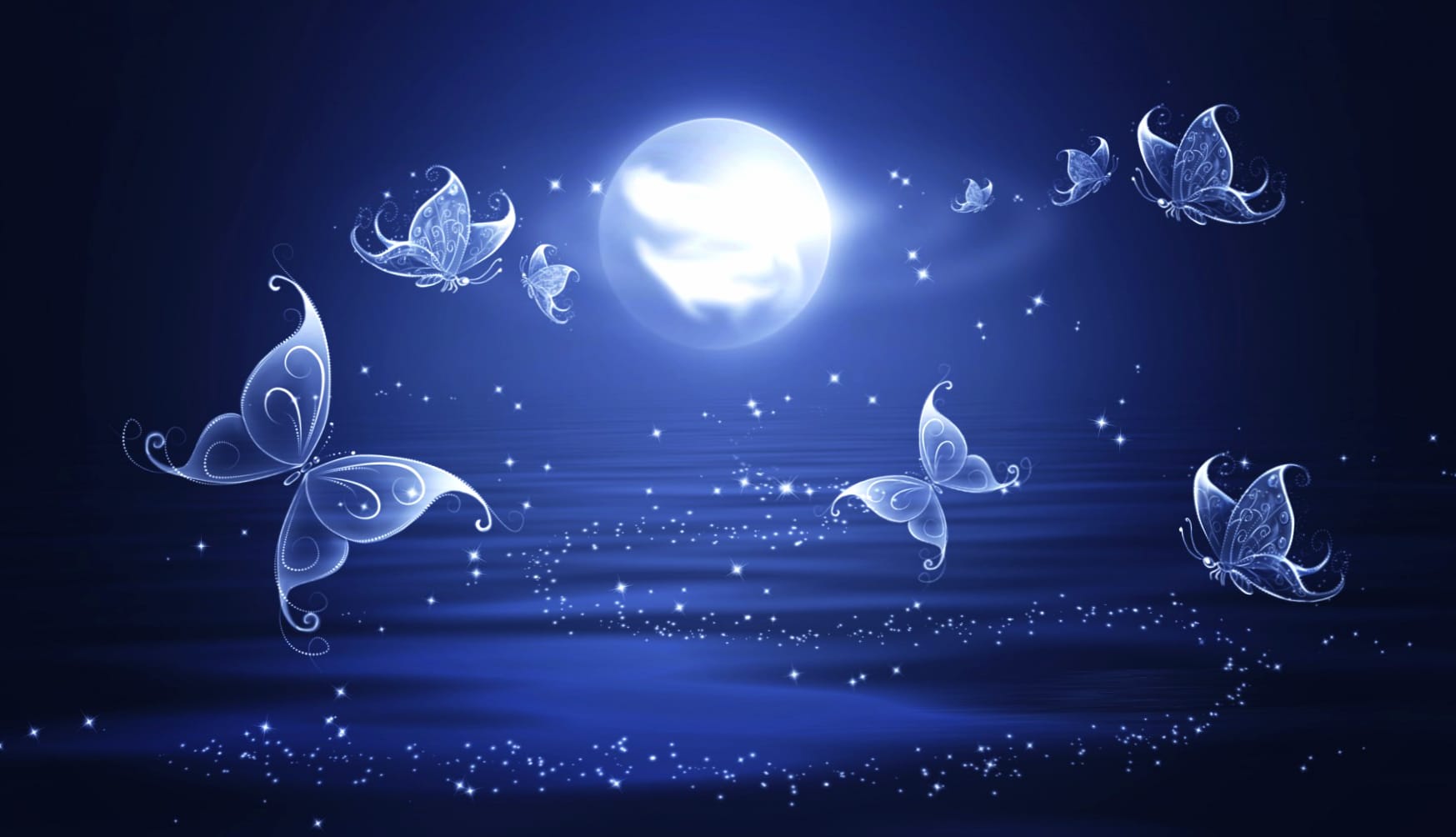 Blue Moon Butterfly at 1600 x 1200 size wallpapers HD quality