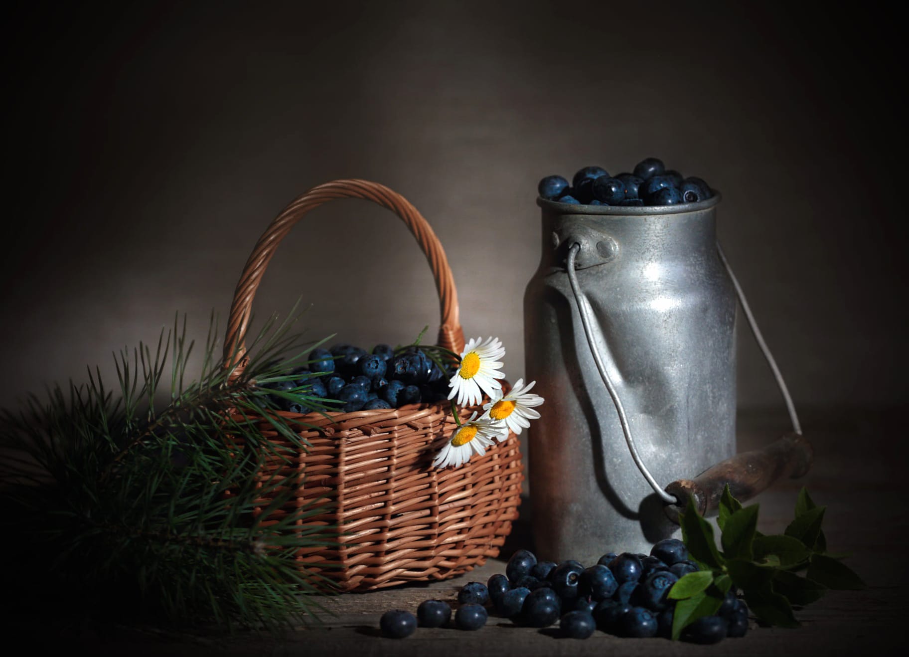 Blueberry Photography Still Life wallpapers HD quality