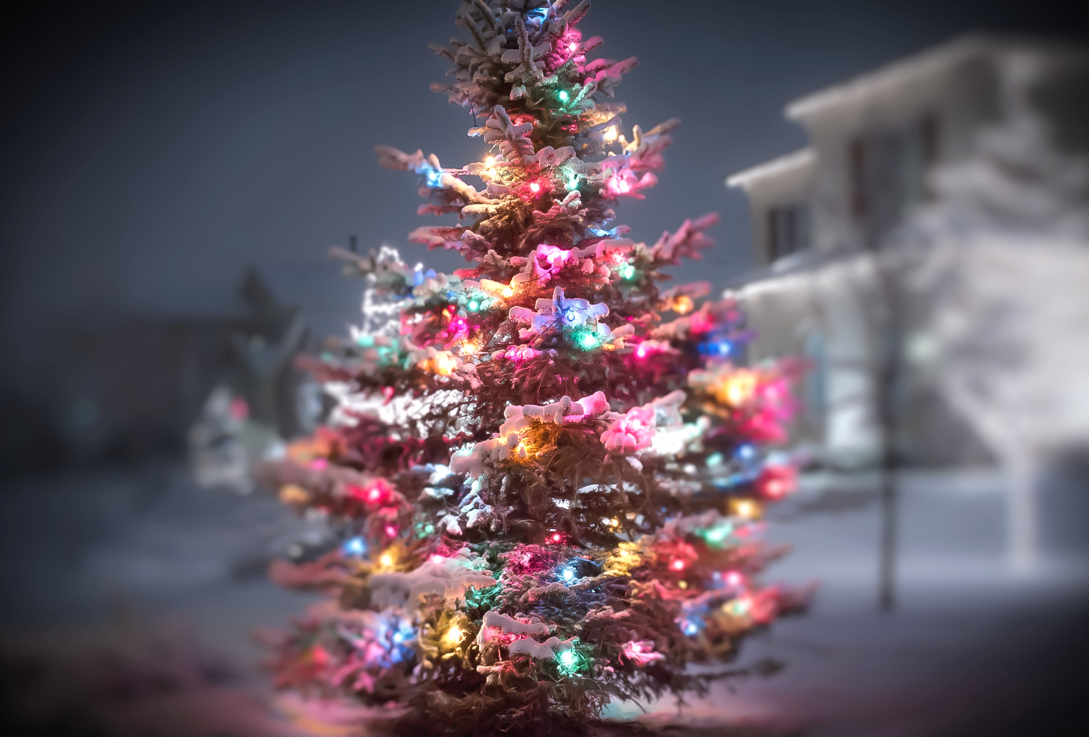 Blur Christmas Lights Christmas Tree Holiday Christmas wallpapers HD quality