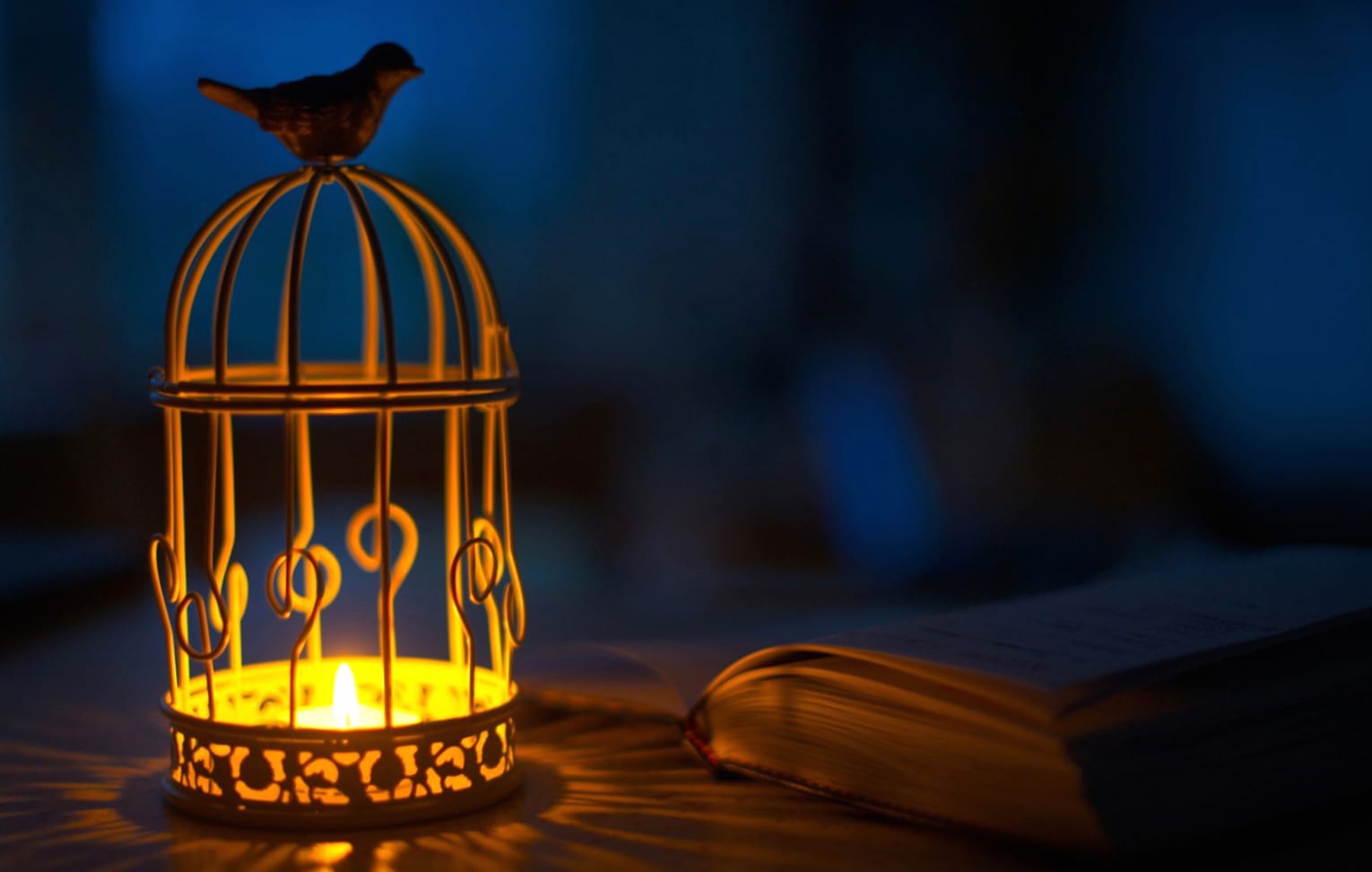 Book Bird Photography Candle Wallpaper wallpapers HD quality